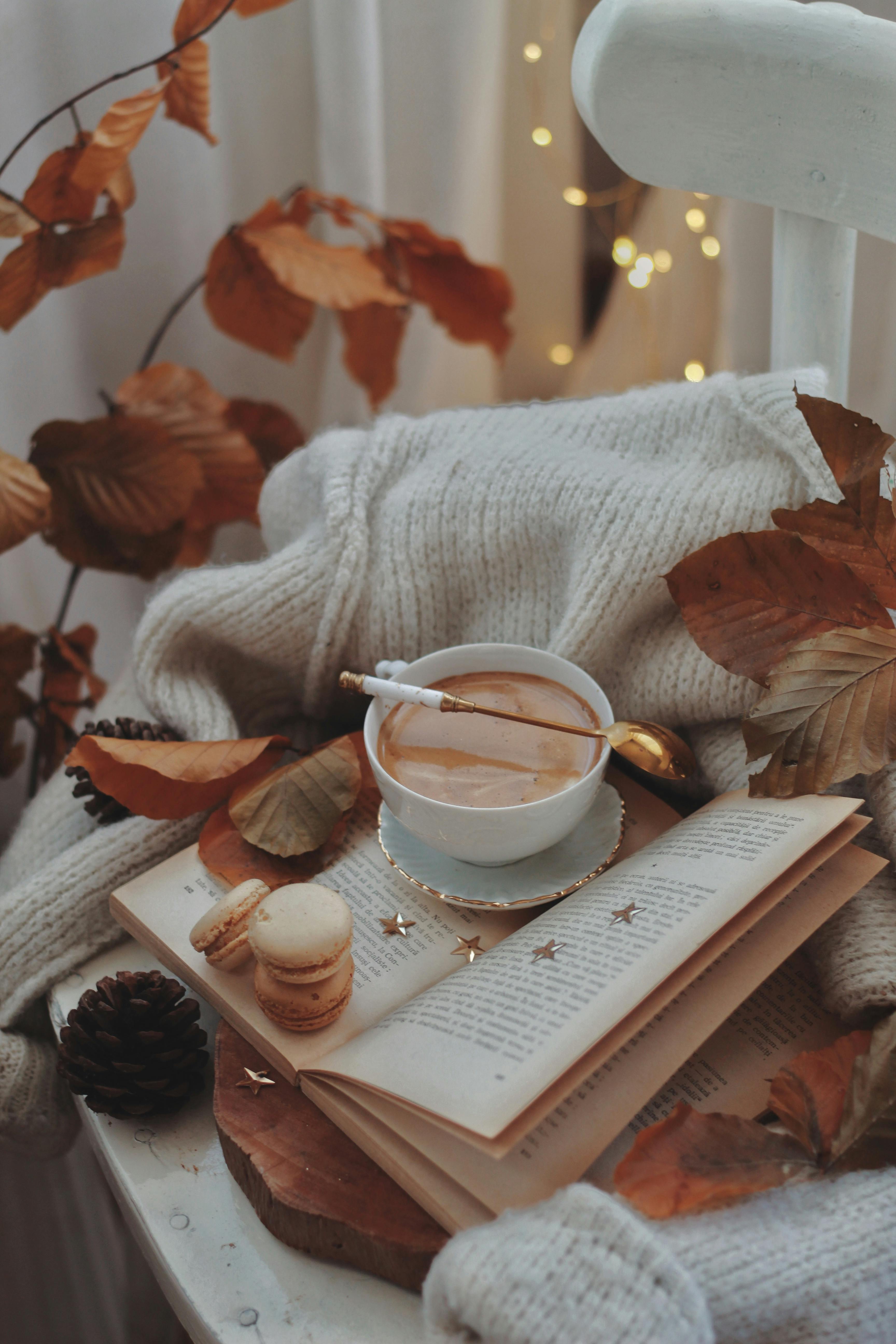 Autumn Aesthetic Photo, Download The BEST Free Autumn Aesthetic & HD Image