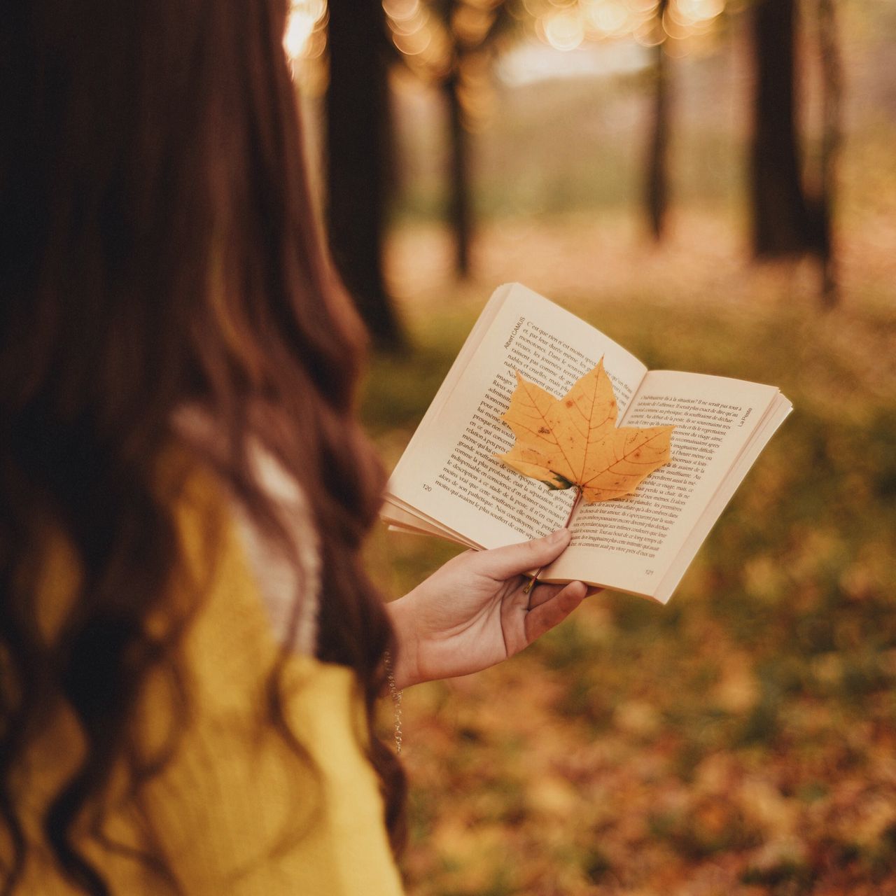 Download wallpaper 1280x1280 book, leaf, hand, autumn, blur ipad, ipad 2, ipad mini for parallax HD background