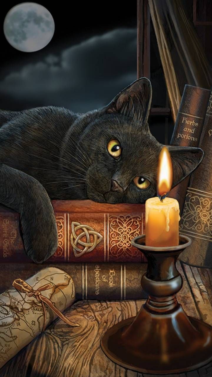Halloween kitty wallpaper