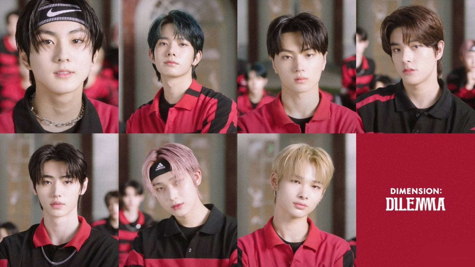 Download Enhypen Dilemma Collage Wallpaper