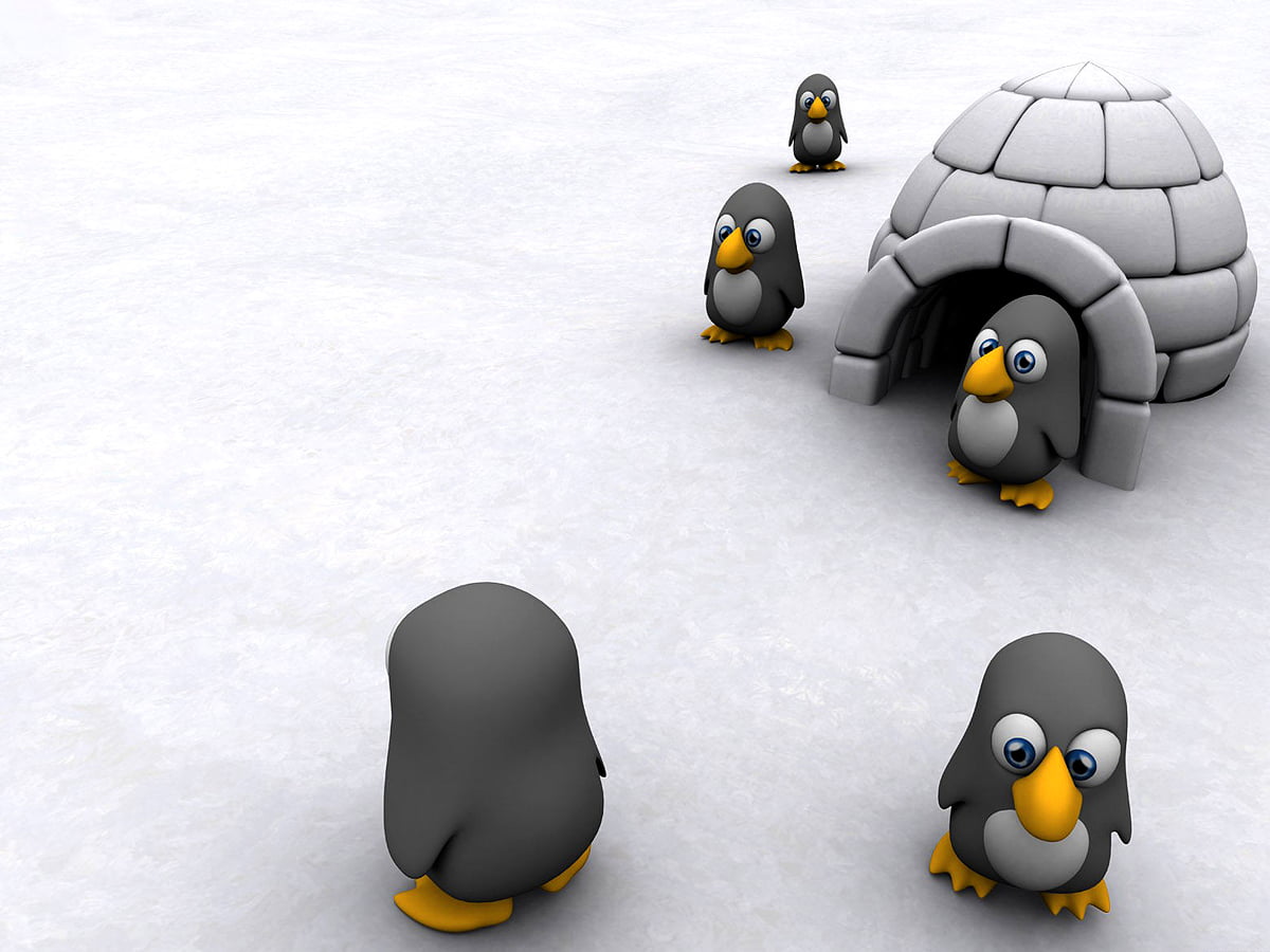 Penguin wallpaper HD. Download Free background