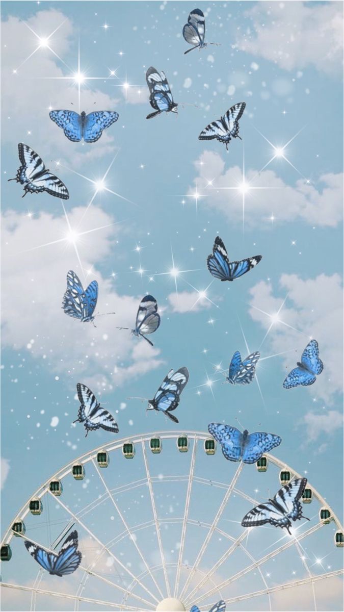 butterfly aesthetic butterfly wallpaper