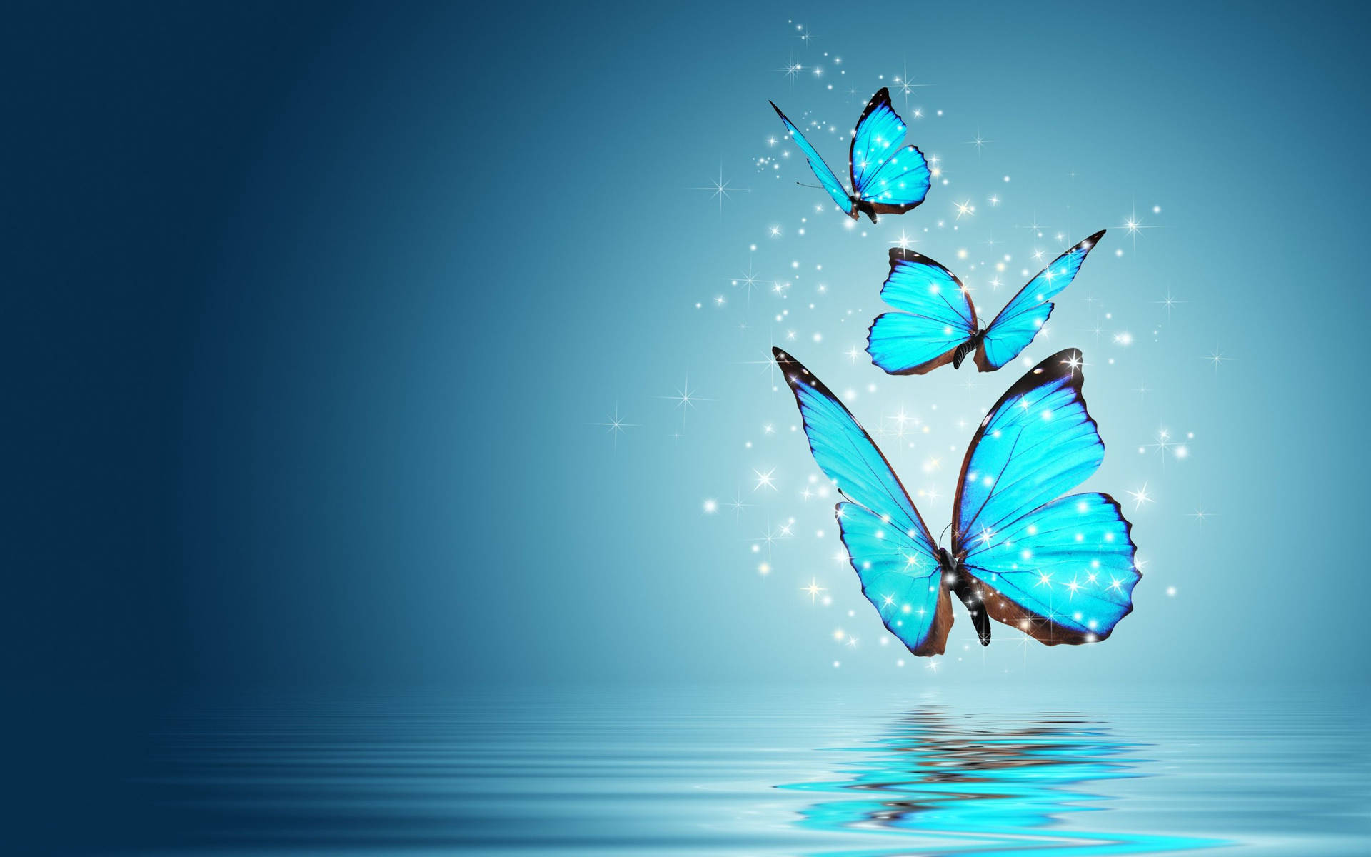 Download Light Blue Night Butterfly Wallpaper