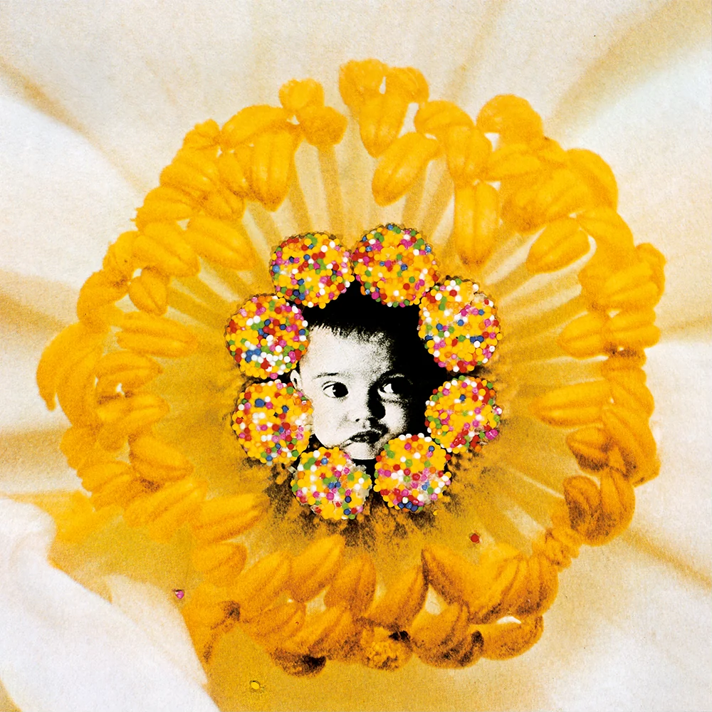 Help finding text less, borderless and HQ Pablo Honey cover art