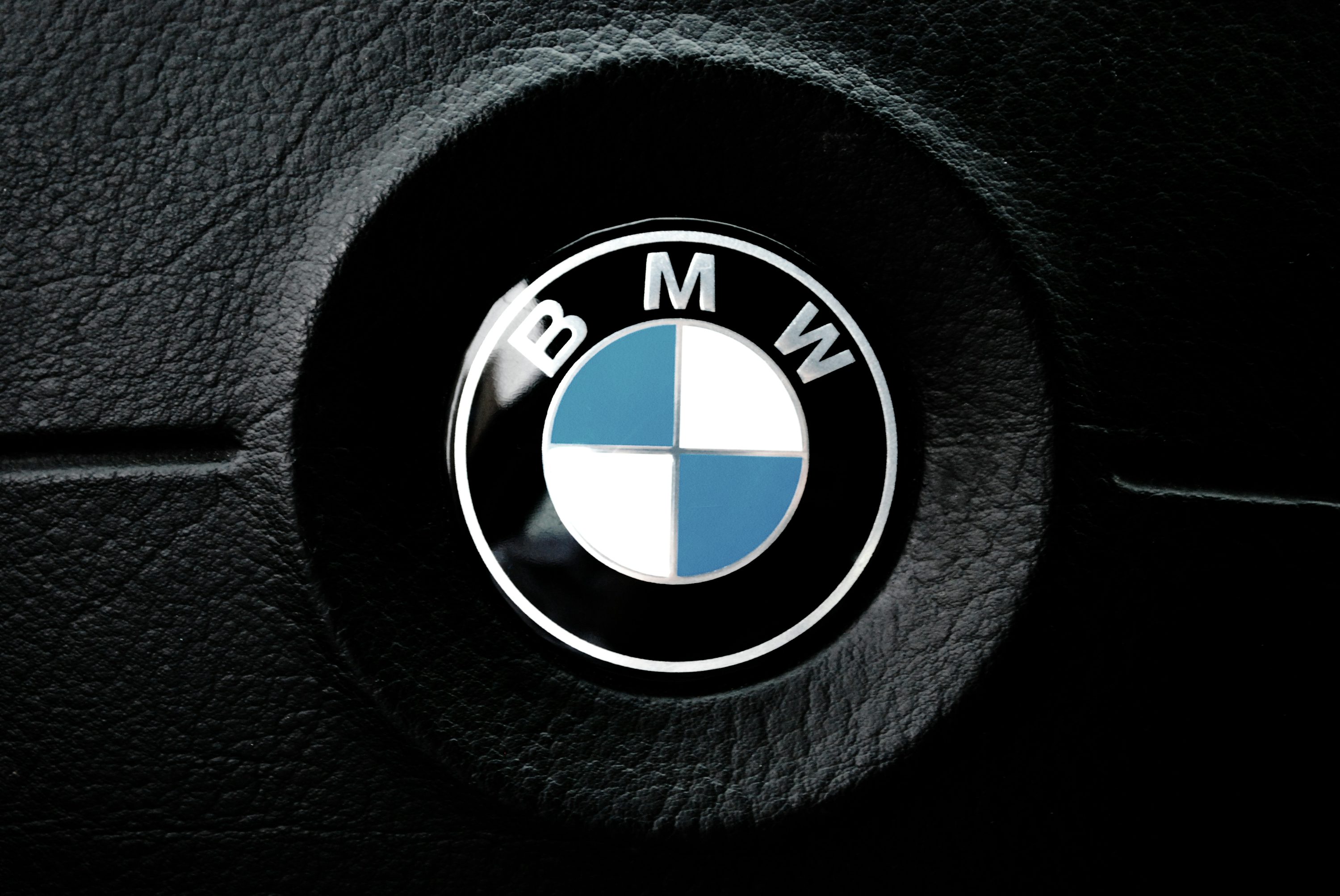 Bmw Logo Picture. Download Free Image