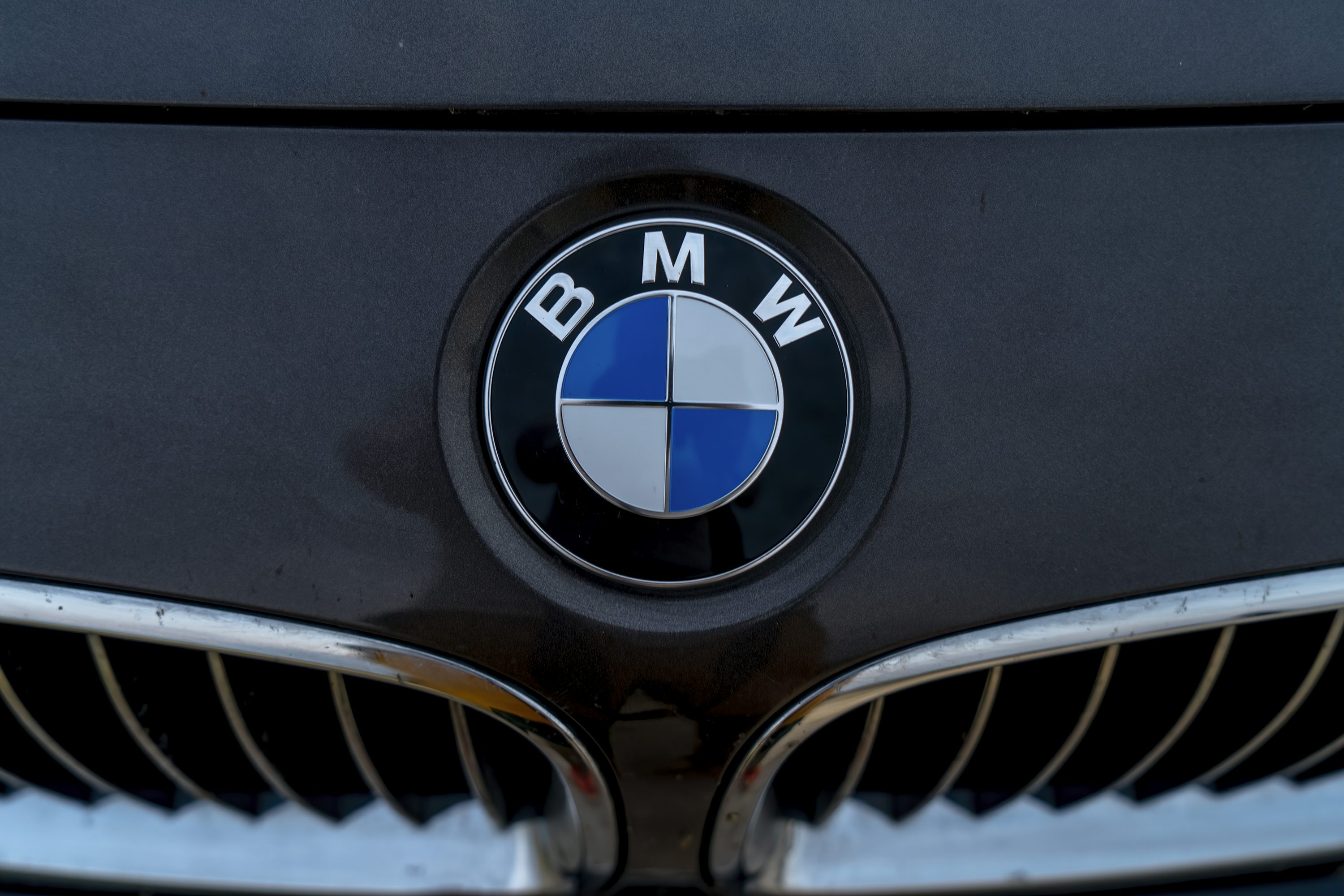 Bmw Logo Picture. Download Free Image