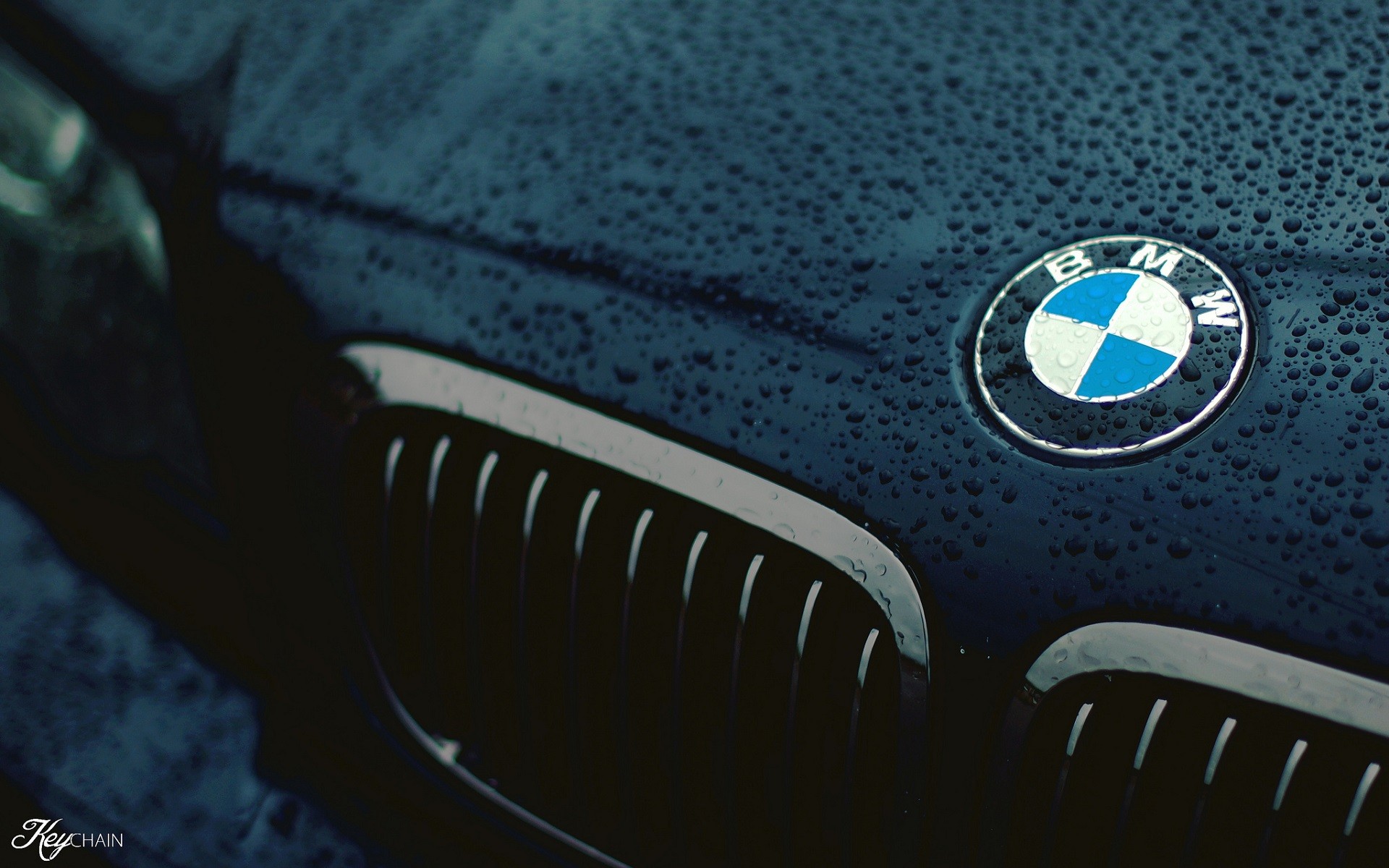 car, BMW, Closeup, Logo, Black, Water drops, Wet Wallpaper HD / Desktop and Mobile Background