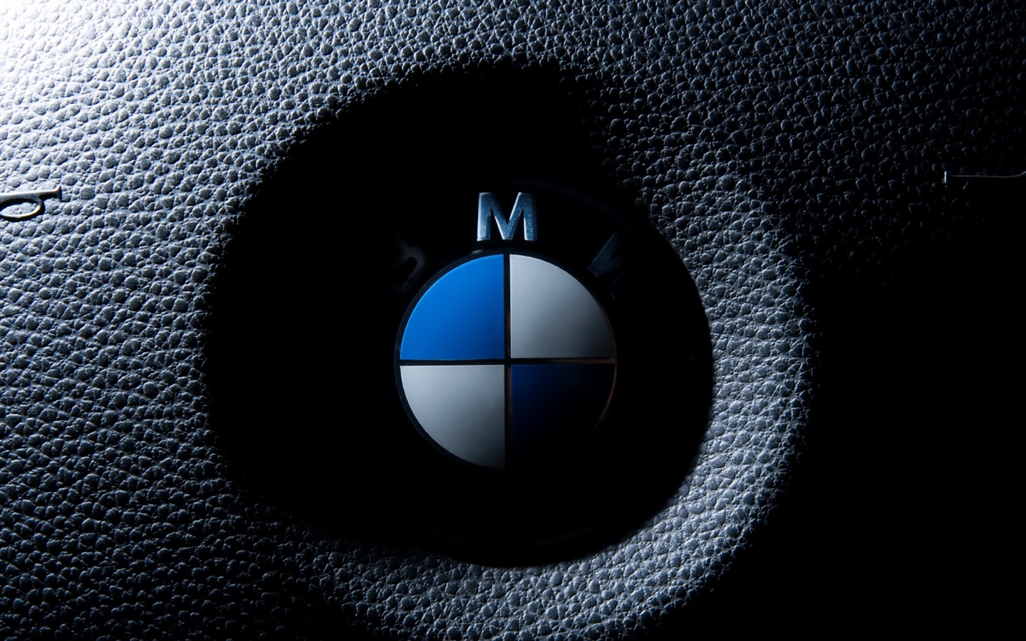 Wallpaper BMW logo macro photography 2560x1440 QHD Picture, Image