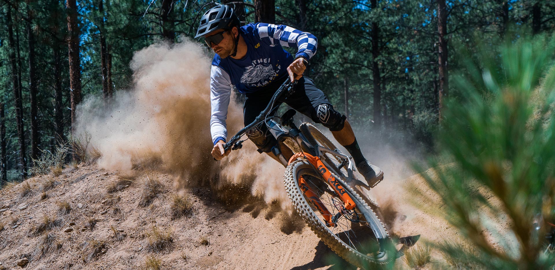 What is the Shapeshifter? Canyon Strive Dissected. The Loam Wolf