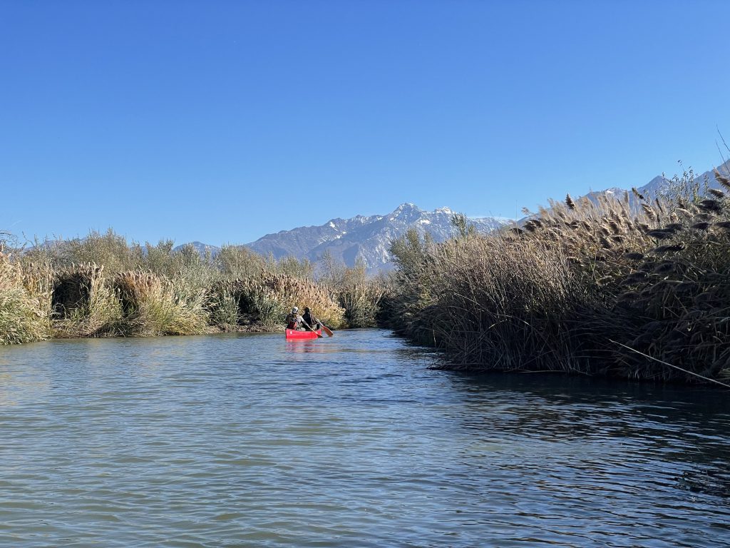 Grant Funded Initiatives Help Reshape The Jordan River Landscape