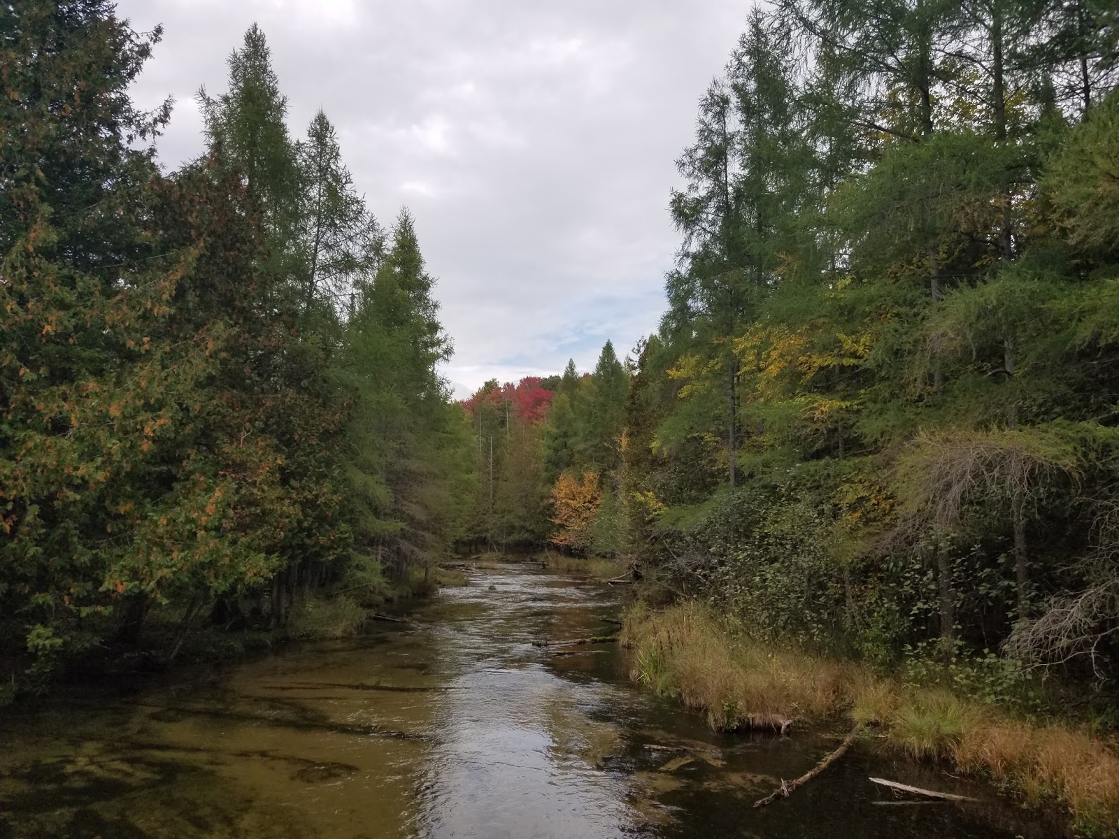 Wilderness Wanderings: Jordan Valley Pathway