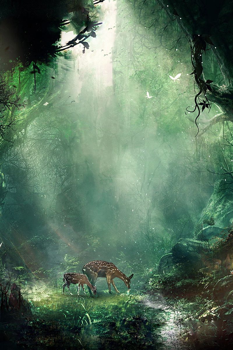 Download Wallpaper 800x1200 Jungle, Fantasy, Deer, Butterflies, Night, Trees Iphone 4s 4 For Parallax HD Background