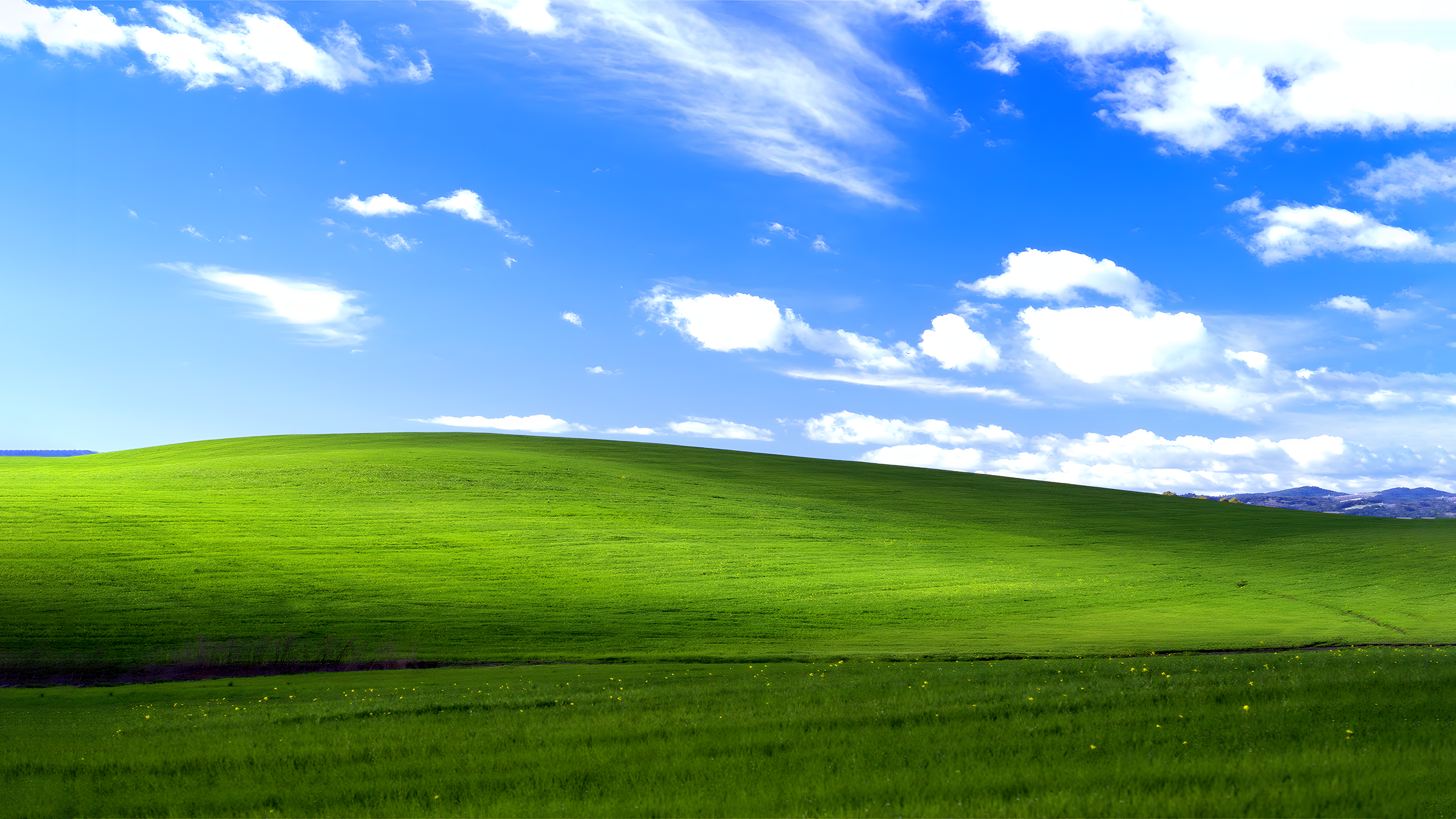 Windows XP Bliss Wallpaper HQ (2560x1440)