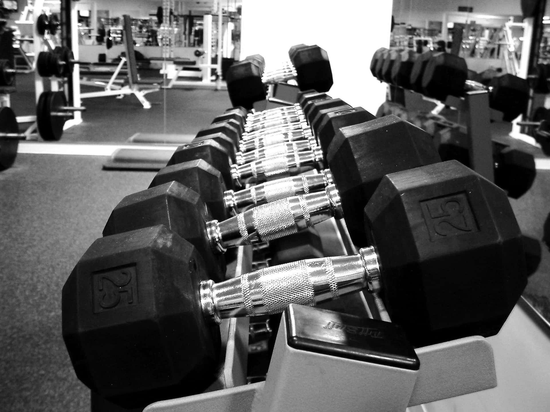 Download Get fit with a gym routine and design a personalized workout plan