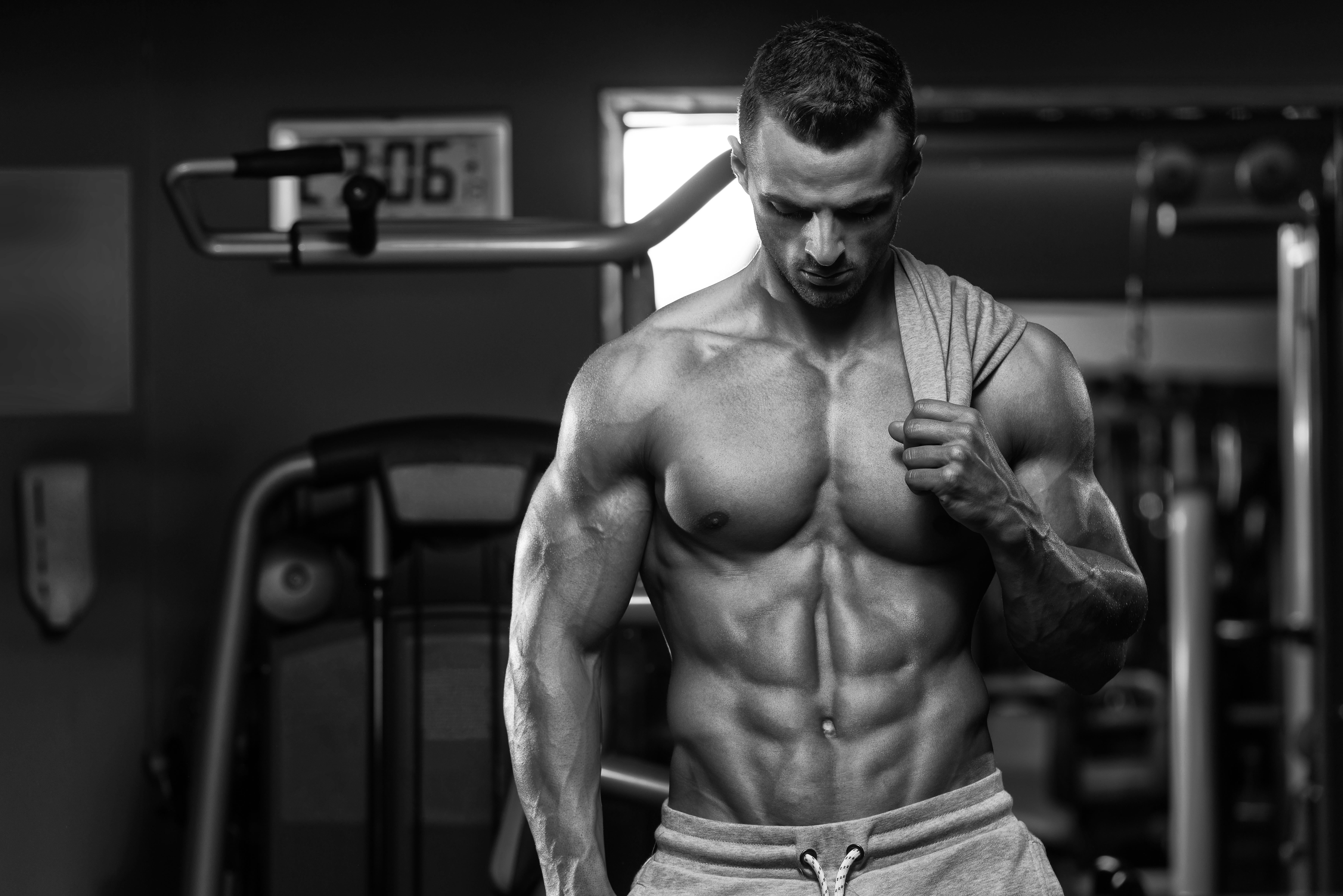 Wallpaper Bodybuilding, Exercise, Muscle, Weight Training, Physical Fitness, Background Free Image