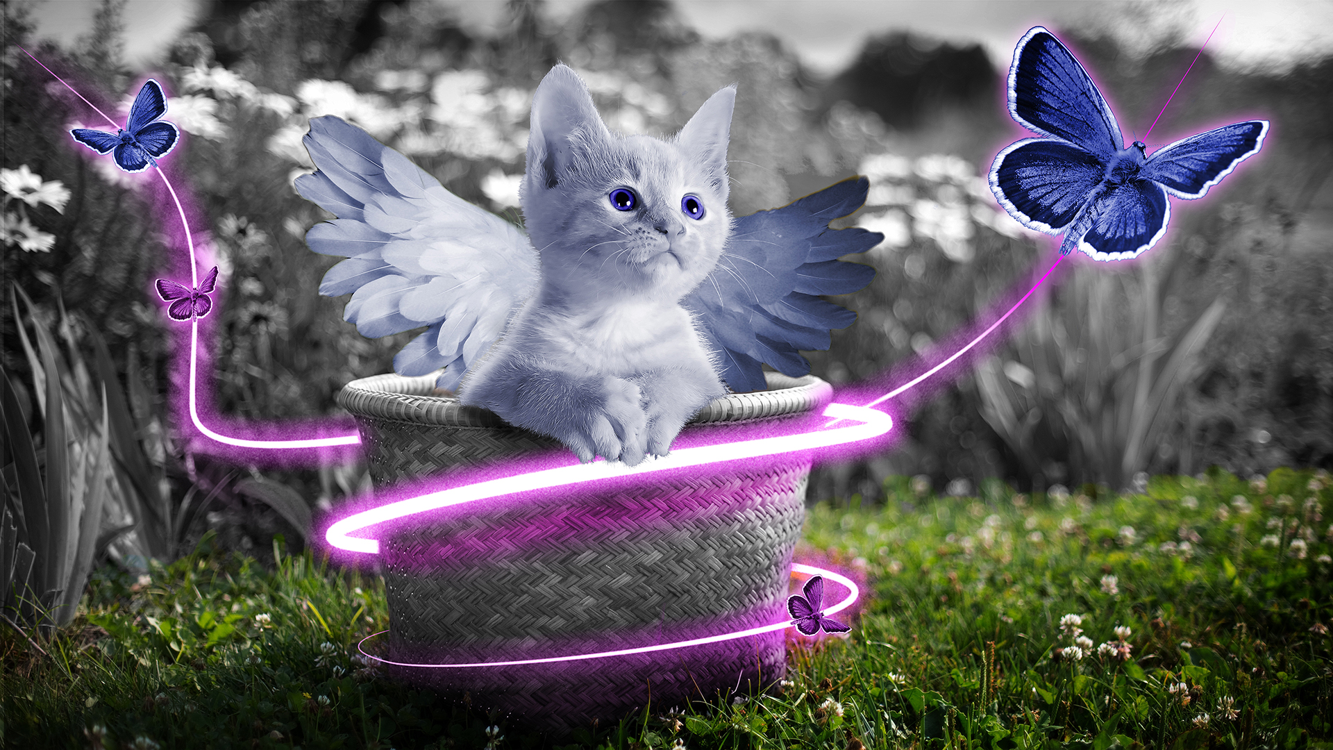 Fairy Kitten Wallpaper For Chromebook