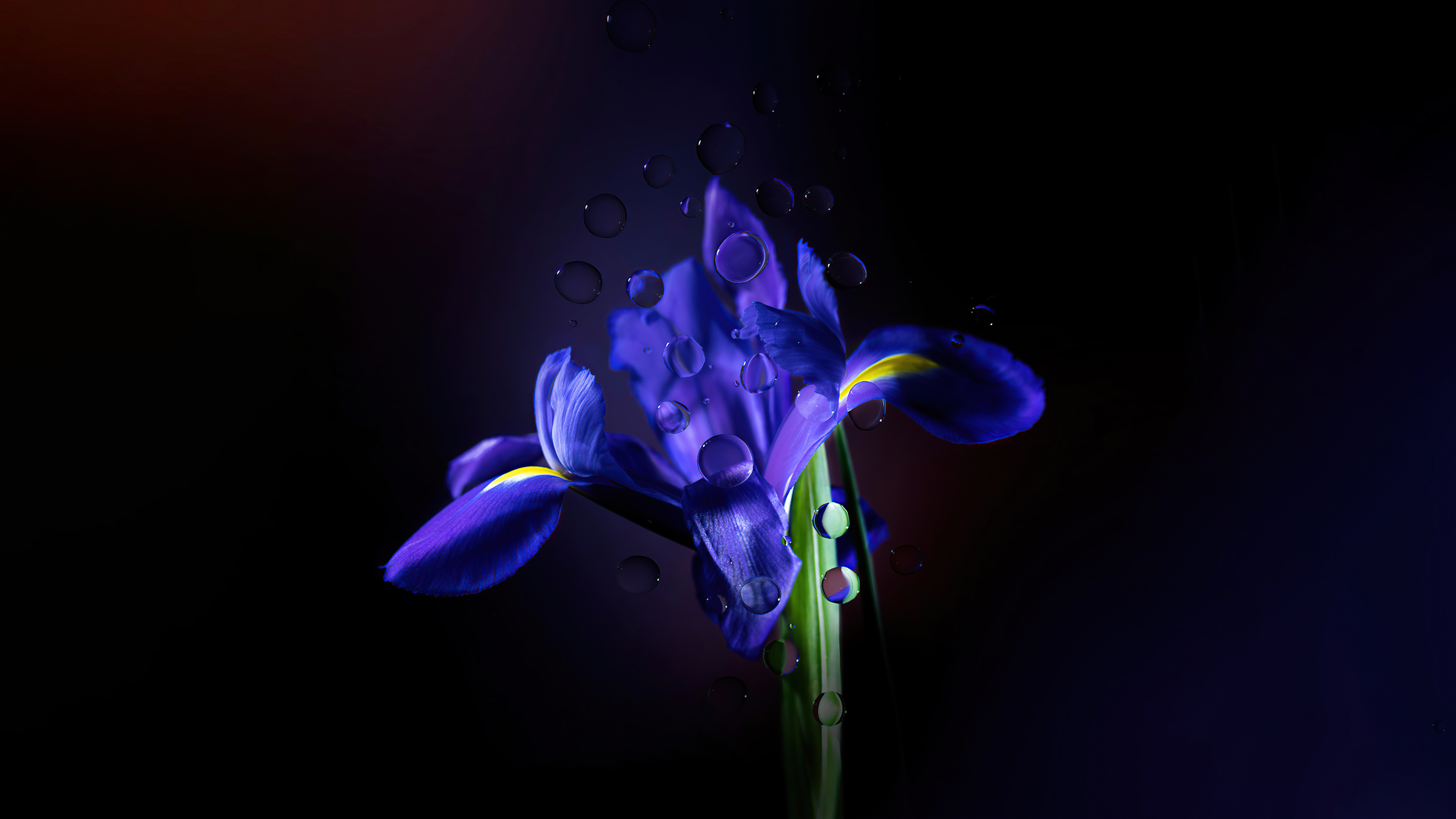 Chromebook Background Stock Dark 4k Wallpaper, HD Computer Wallpaper, 4k Wallpaper, Image, Background, Photos and Picture