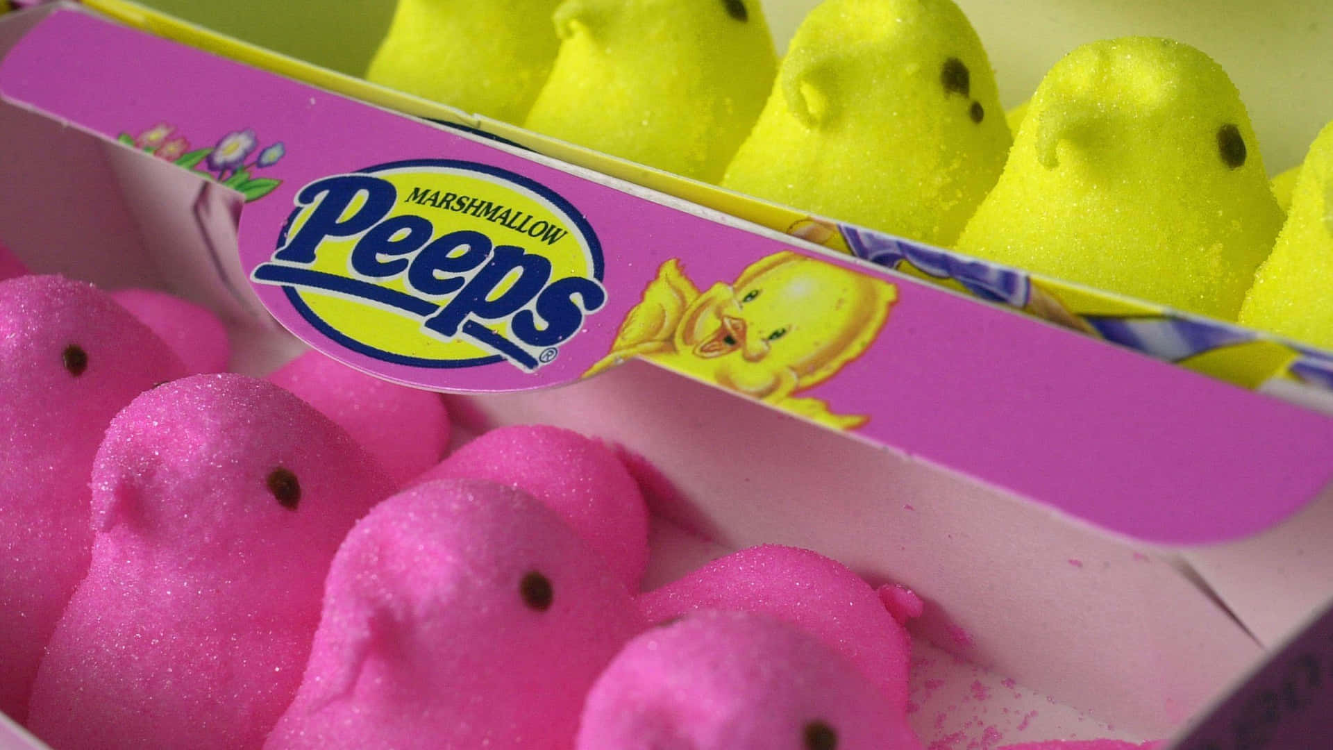 Download Easter Peeps Marshmallow Candies Wallpaper