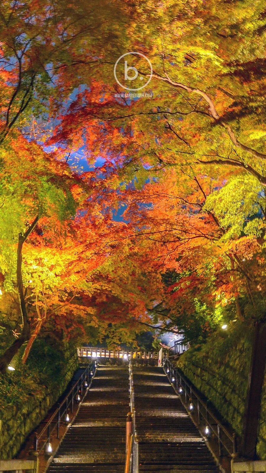 Fall in Japan: Free Wallpaper for Your Phone