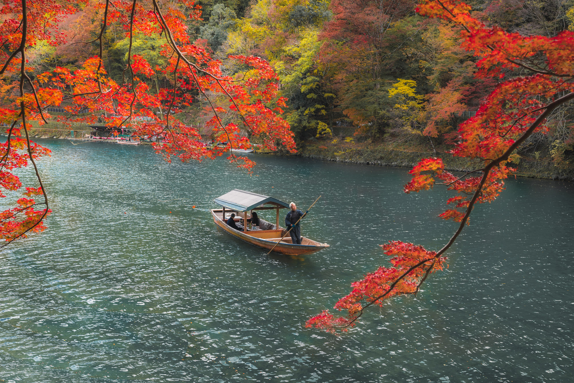 image That Showcase Japan's Beauty During The Fall & Hand Luggage