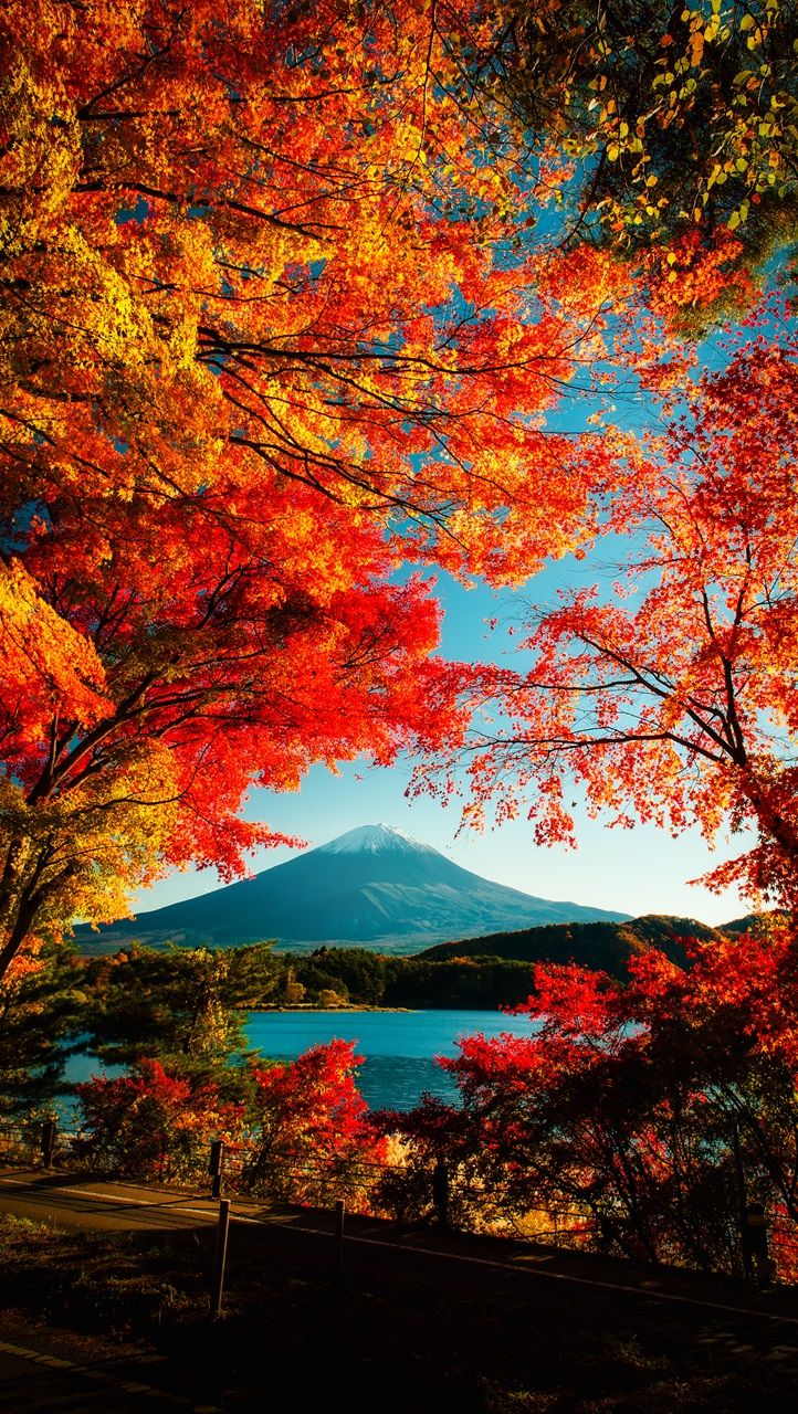 Best Places To See Fall Foliage In Japan During Autumn