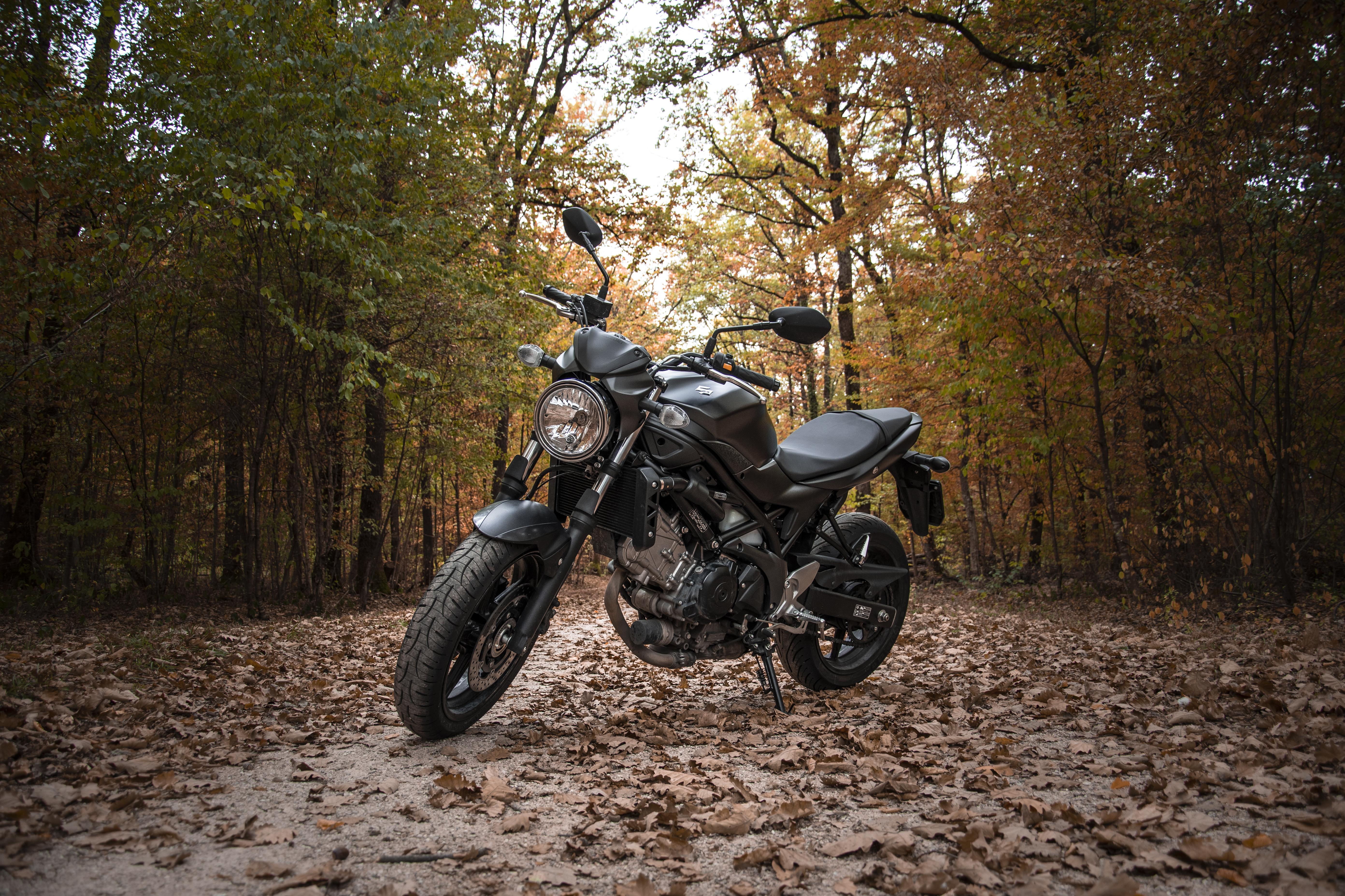 Favorite pic of my SV650