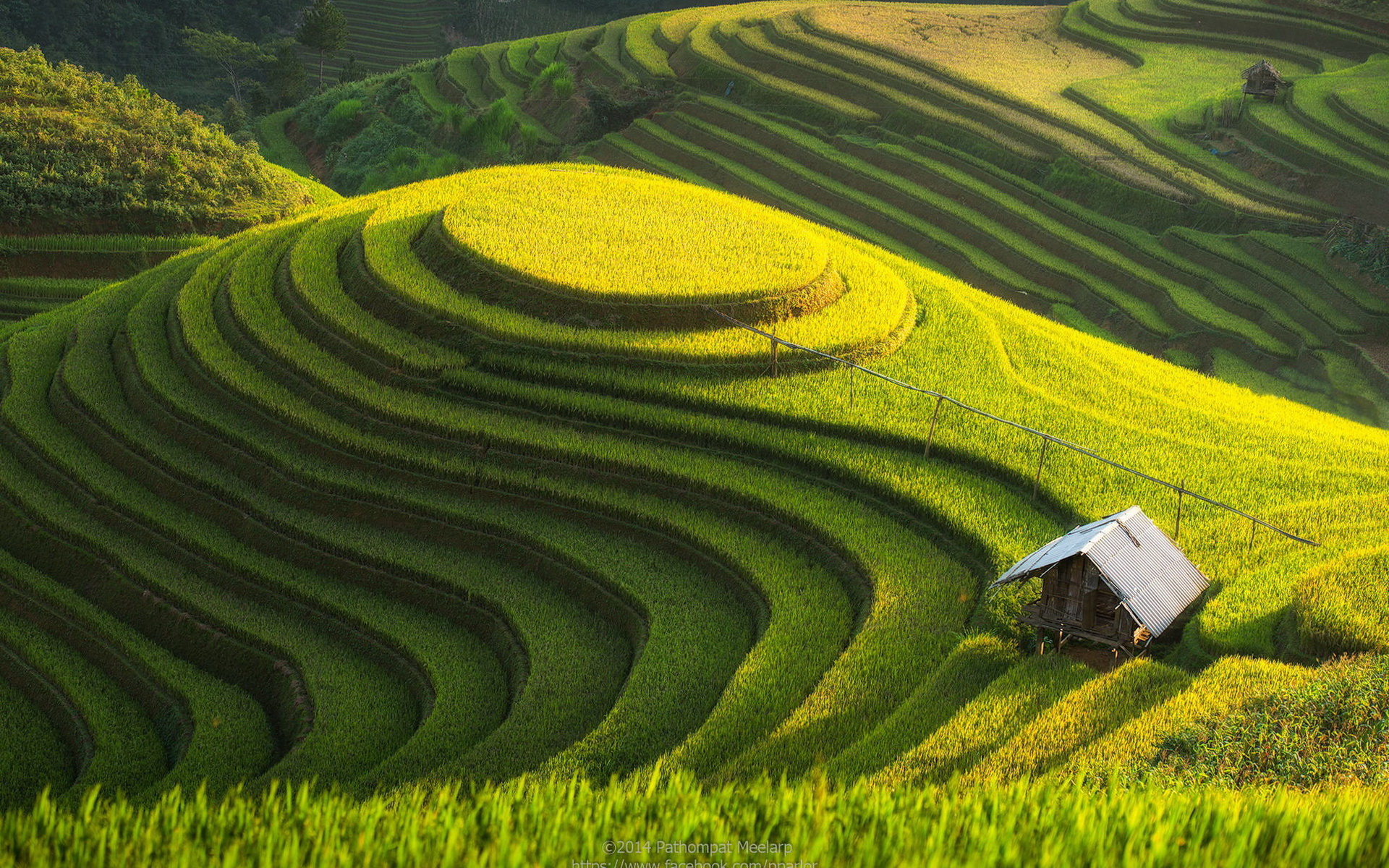 Stunning HD Wallpaper Of Man Made Rice Terraces