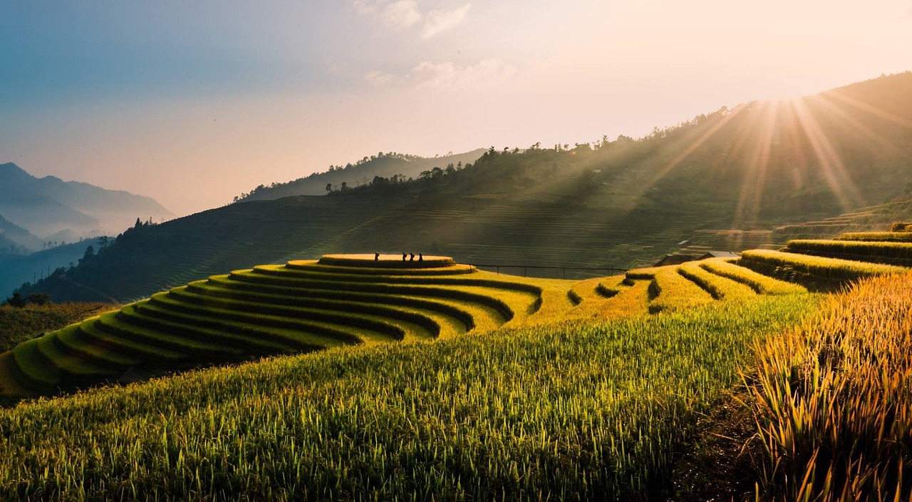 Free Rice Terraces & Nature Image