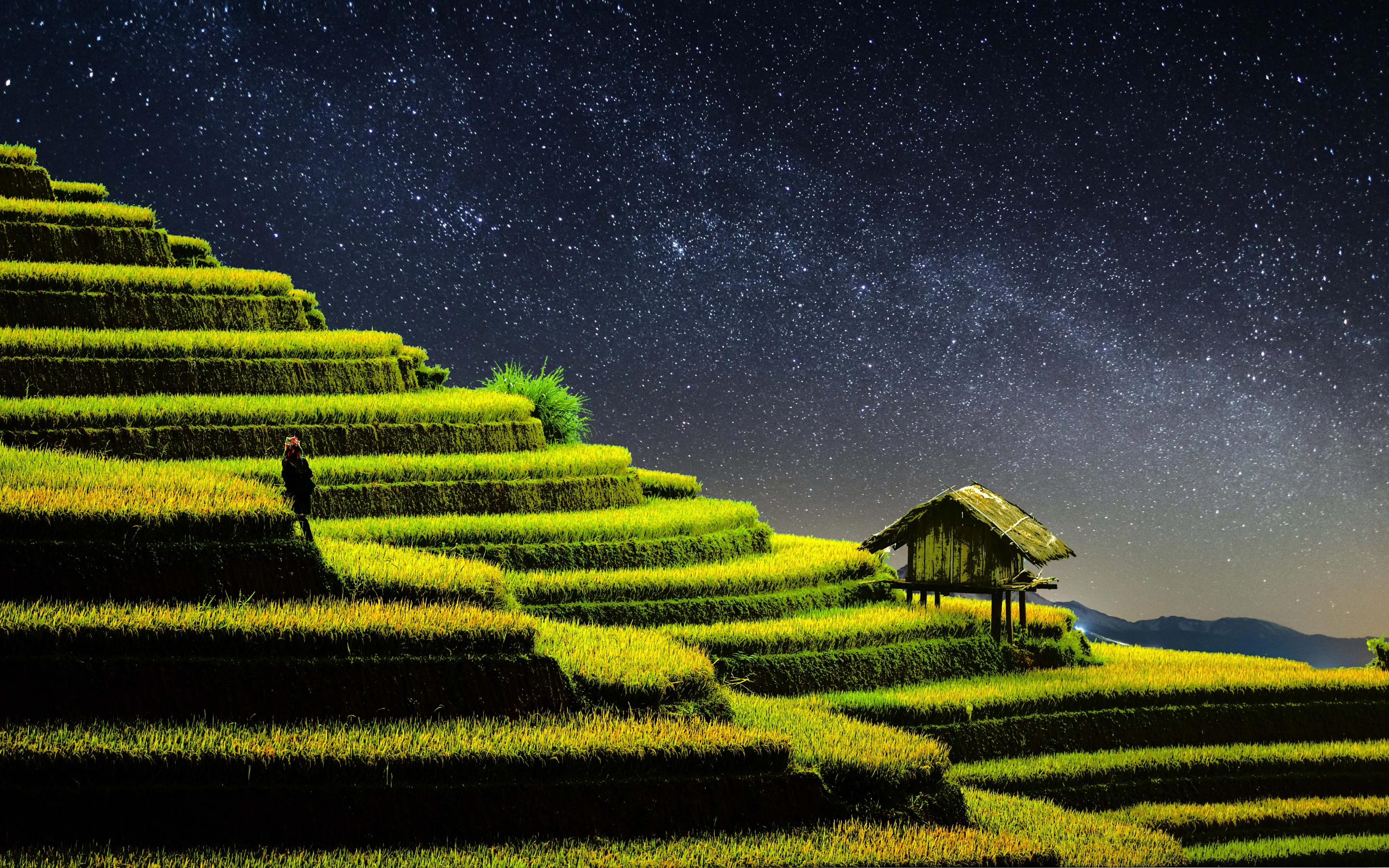 Terrace farming Wallpaper 4K, Rice fields, Agriculture