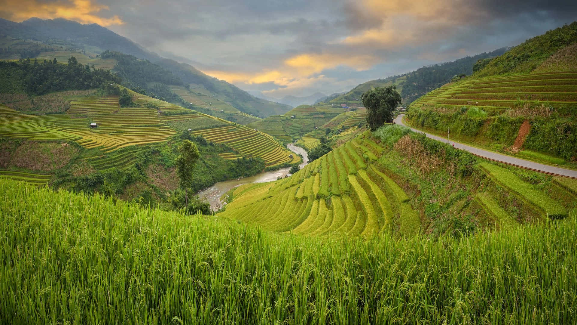 Download Majestic View of Banaue Rice Terraces, Philippines Wallpaper