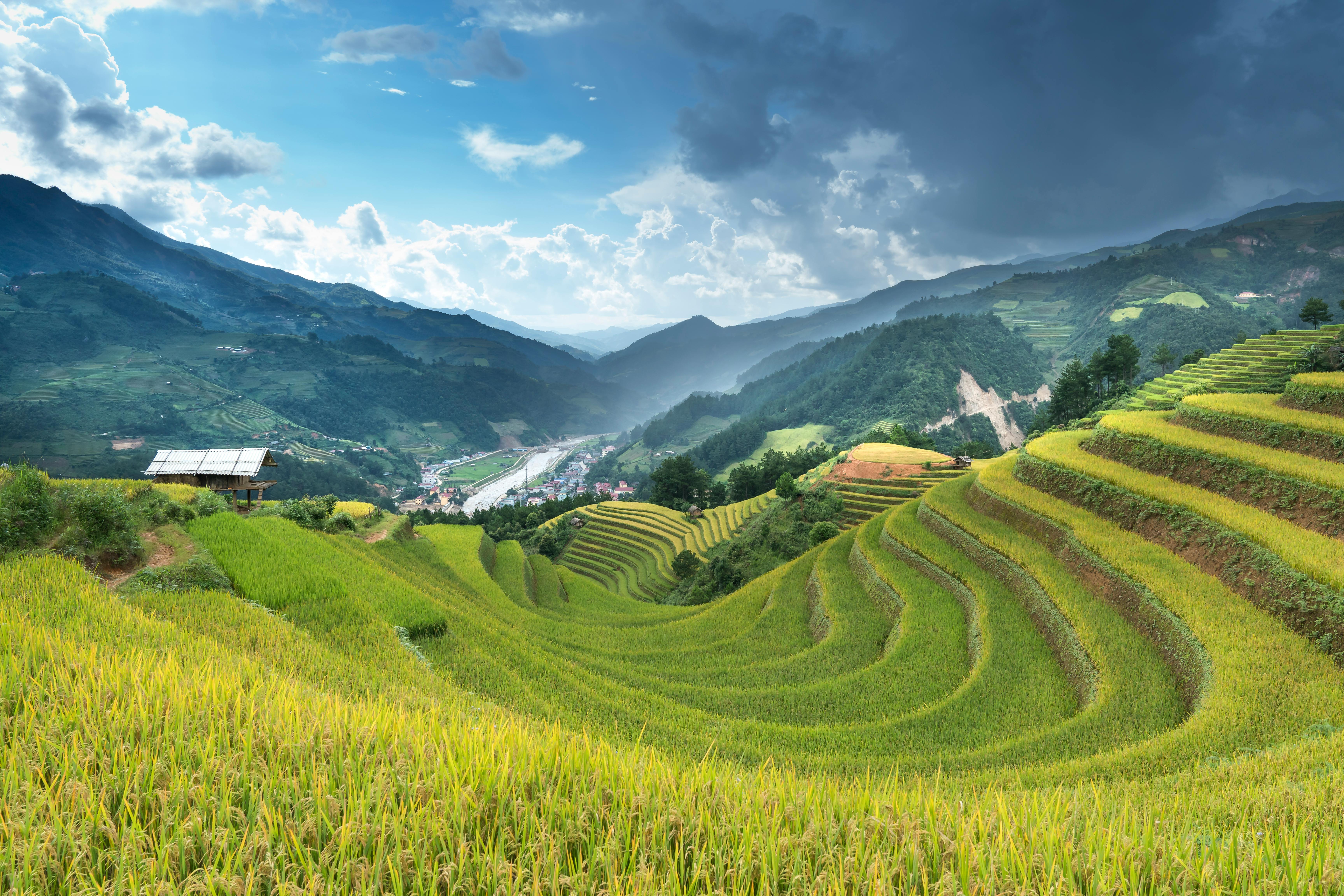 Rice Terraces View · Free