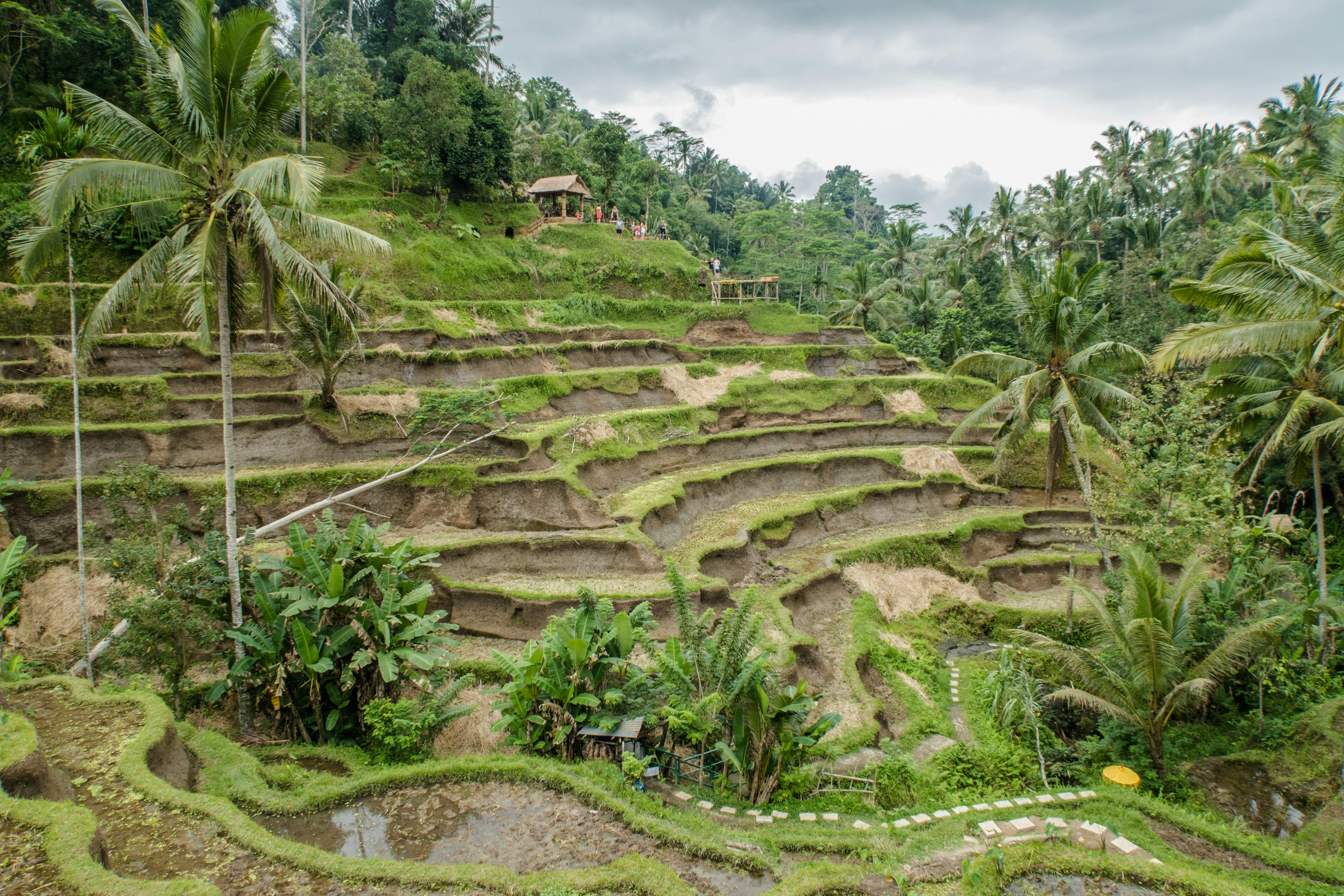 Banaue rice terraces, Philippines photo