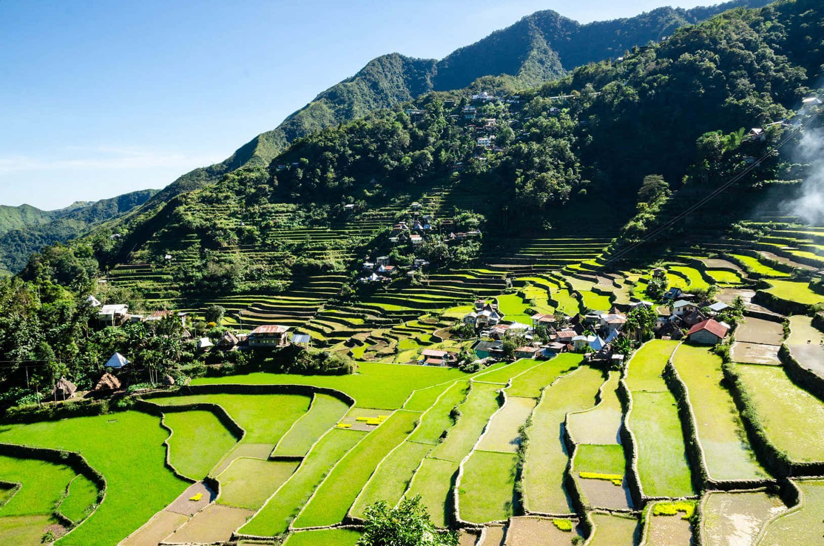 Download Banaue Rice Terraces In Philippines On A Sunny Day Wallpaper