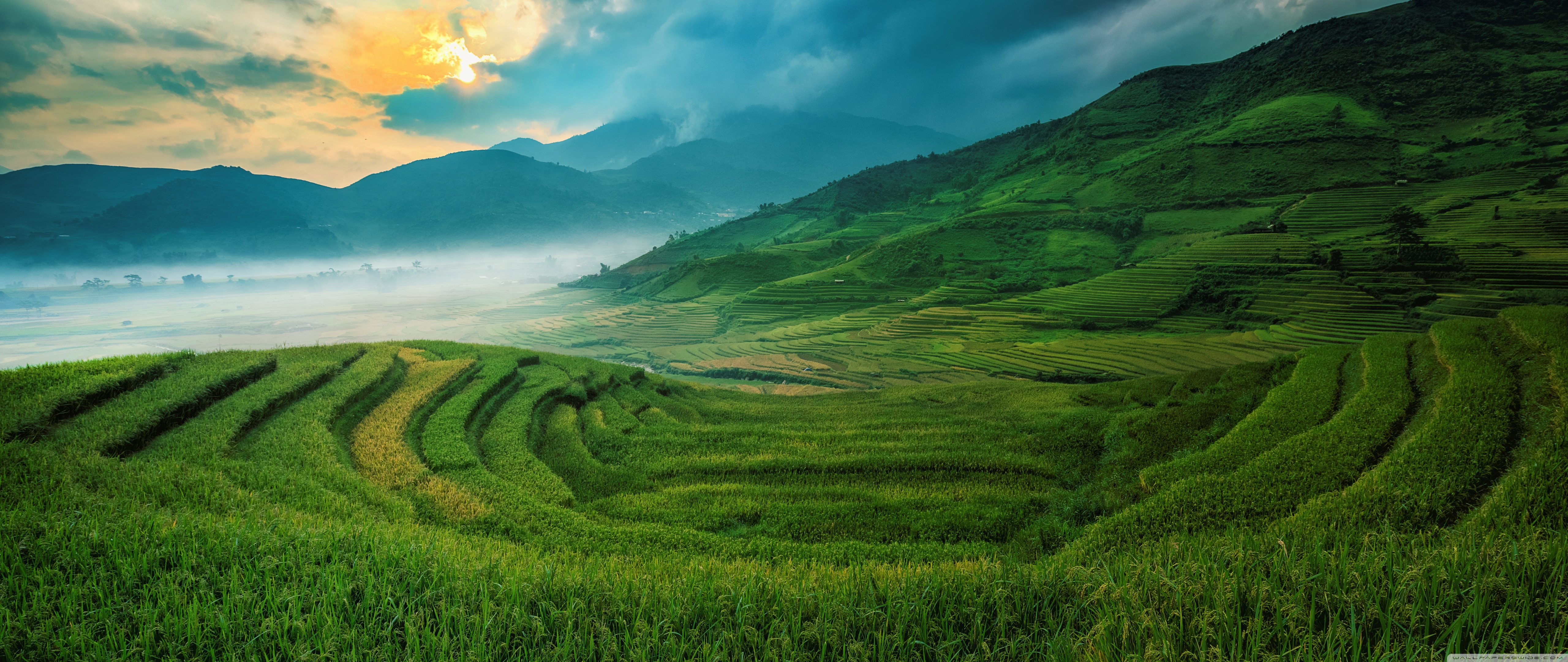 Rice Terraces 4K UHD Wallpaper for UltraHD Desktop and TV, Widescreen and UltraWide Display, Dual Monitor, Smartphone and Tablet Devices