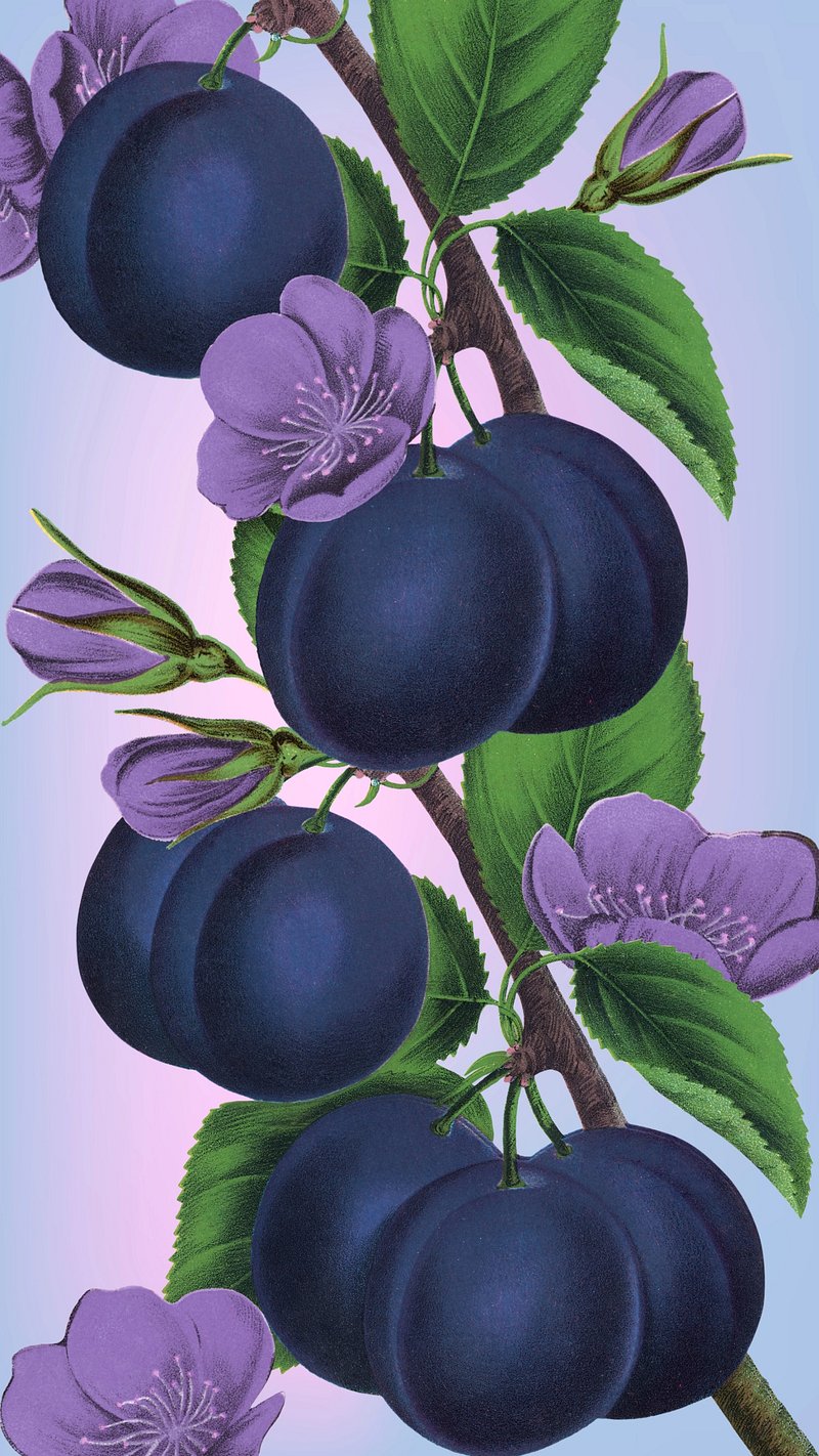 Huckleberry Flower Image Wallpaper