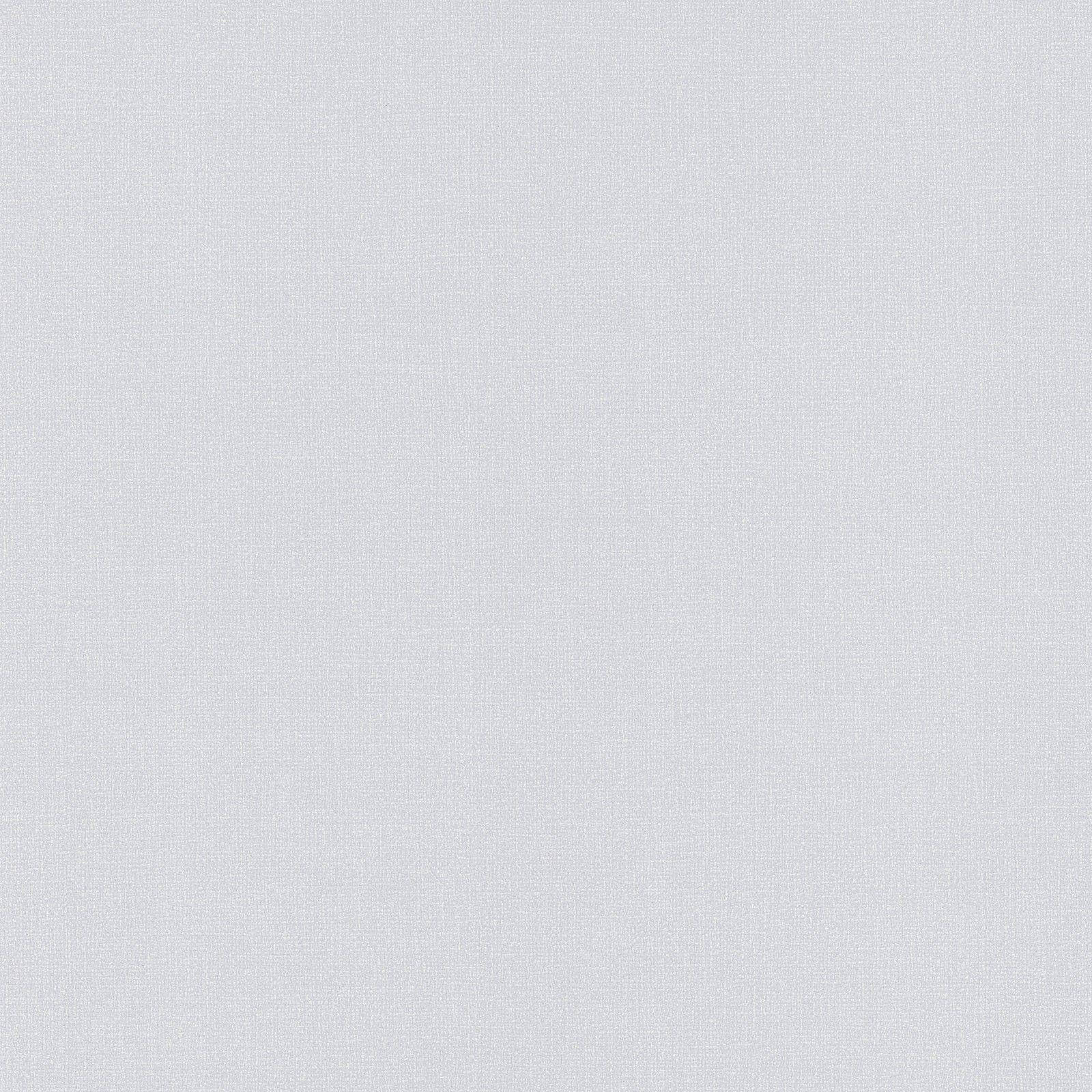 Download Simplicity in Uniformity: Minimalist Plain Light Grey Background Wallpaper