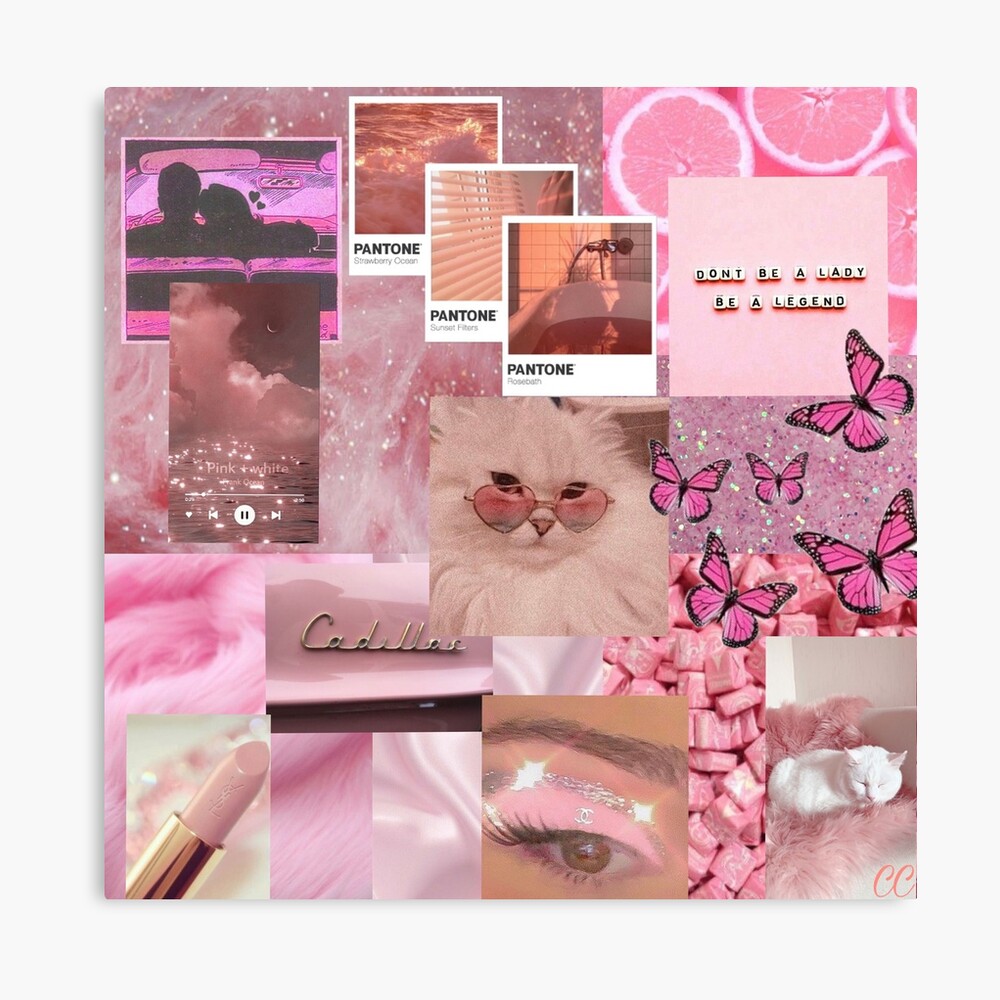 Light Pink Aesthetic Collage Art Board Print