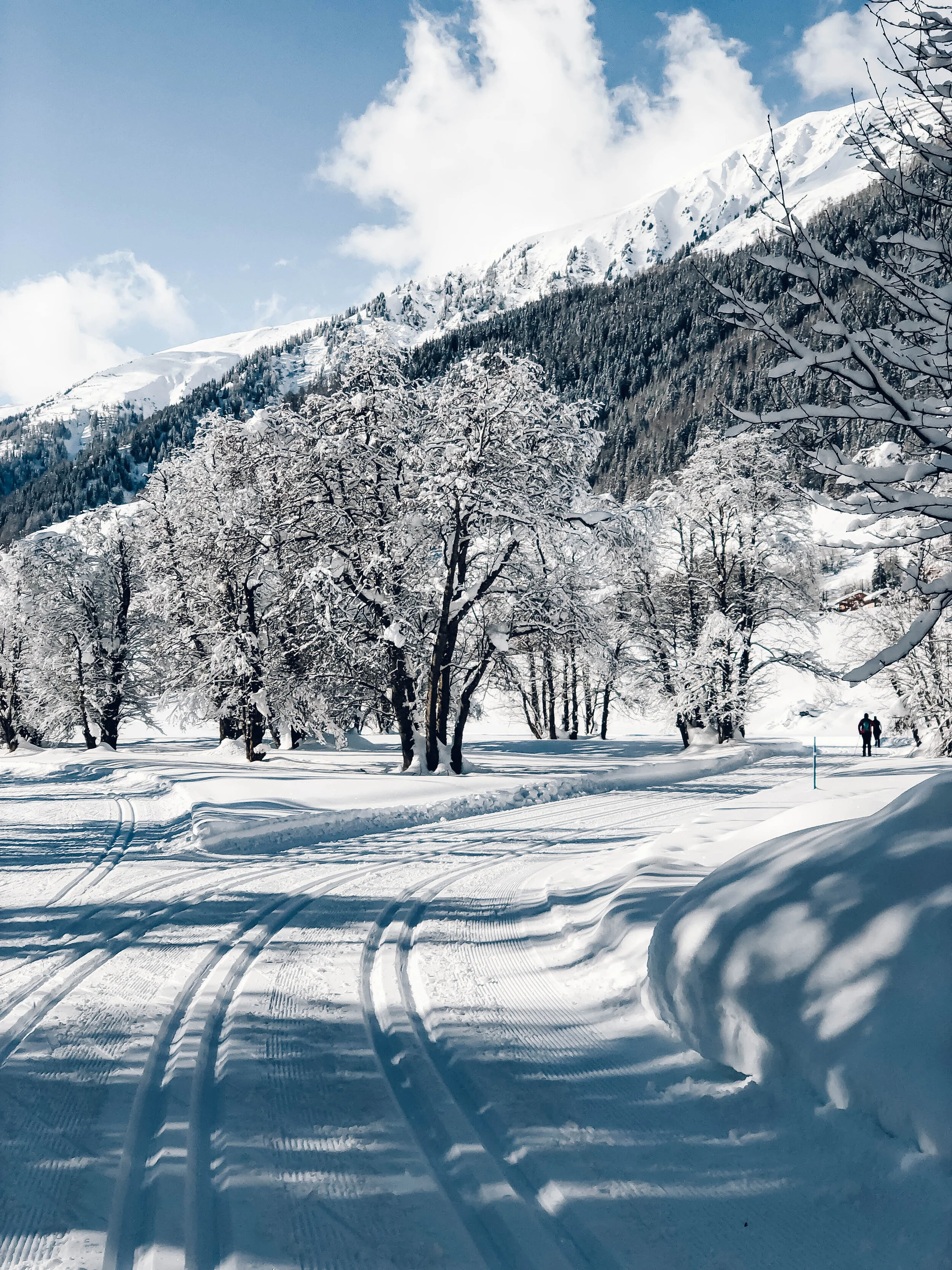 Cross Country Skiing In Goms, Switzerland