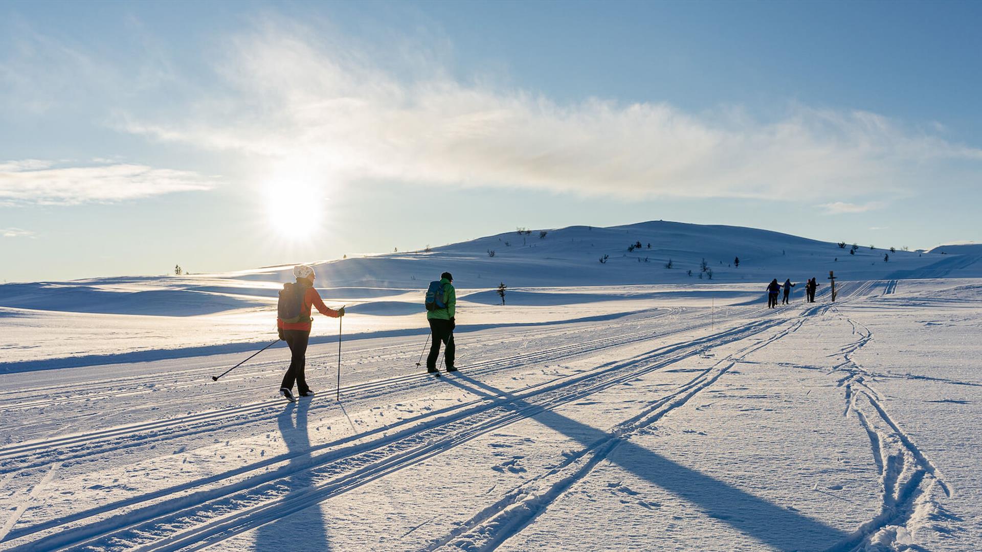 Learn to Cross Country Ski Holiday. Venabu Fjellhotell in Venabygd, Venabygdsfjellet