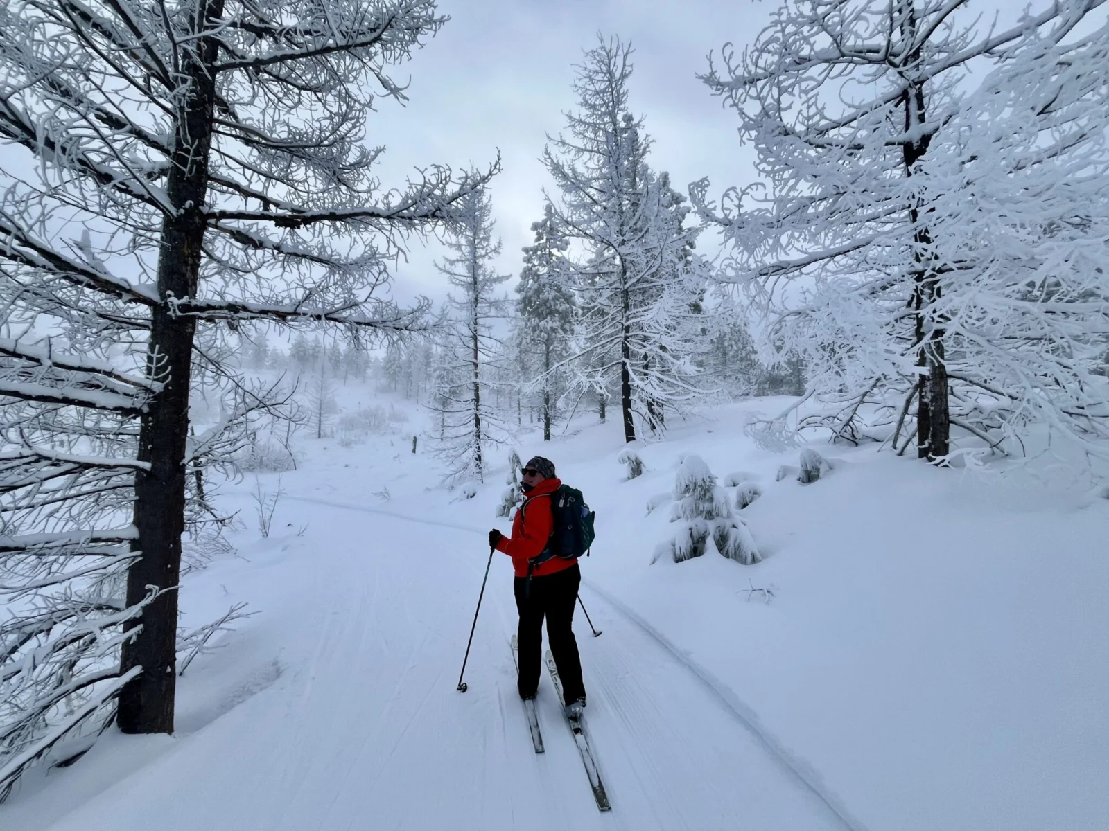Cross Country Skiing at Echo Ridge near Chelan
