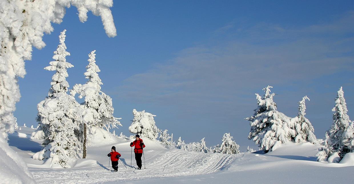 Nordseter Cross Country Skiing Destination