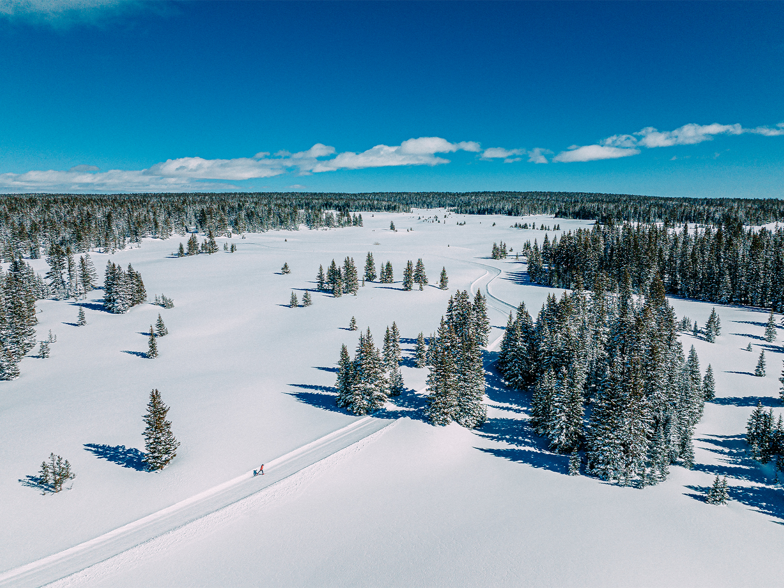 Places To Cross Country Ski In Colorado This Winter