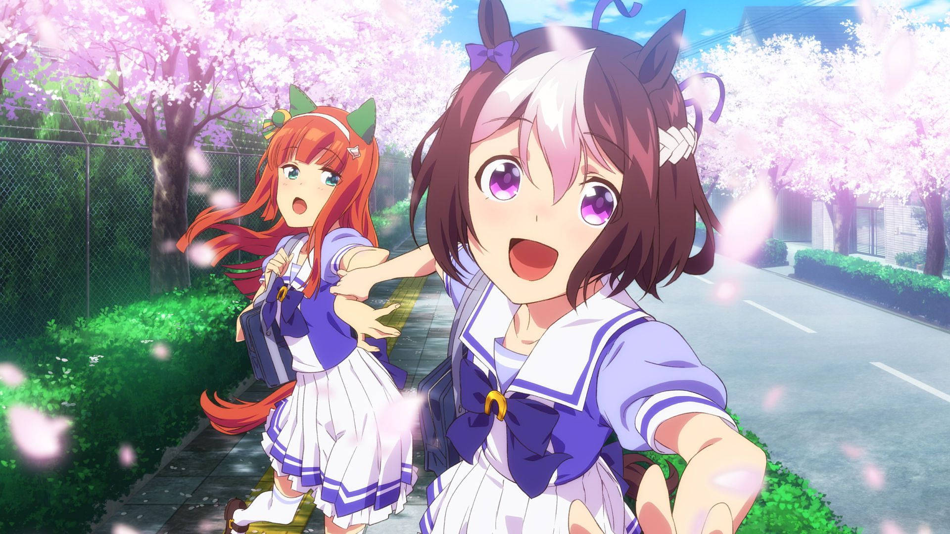Download Uma Musume Pretty Derby Cherry Blossoms Wallpaper