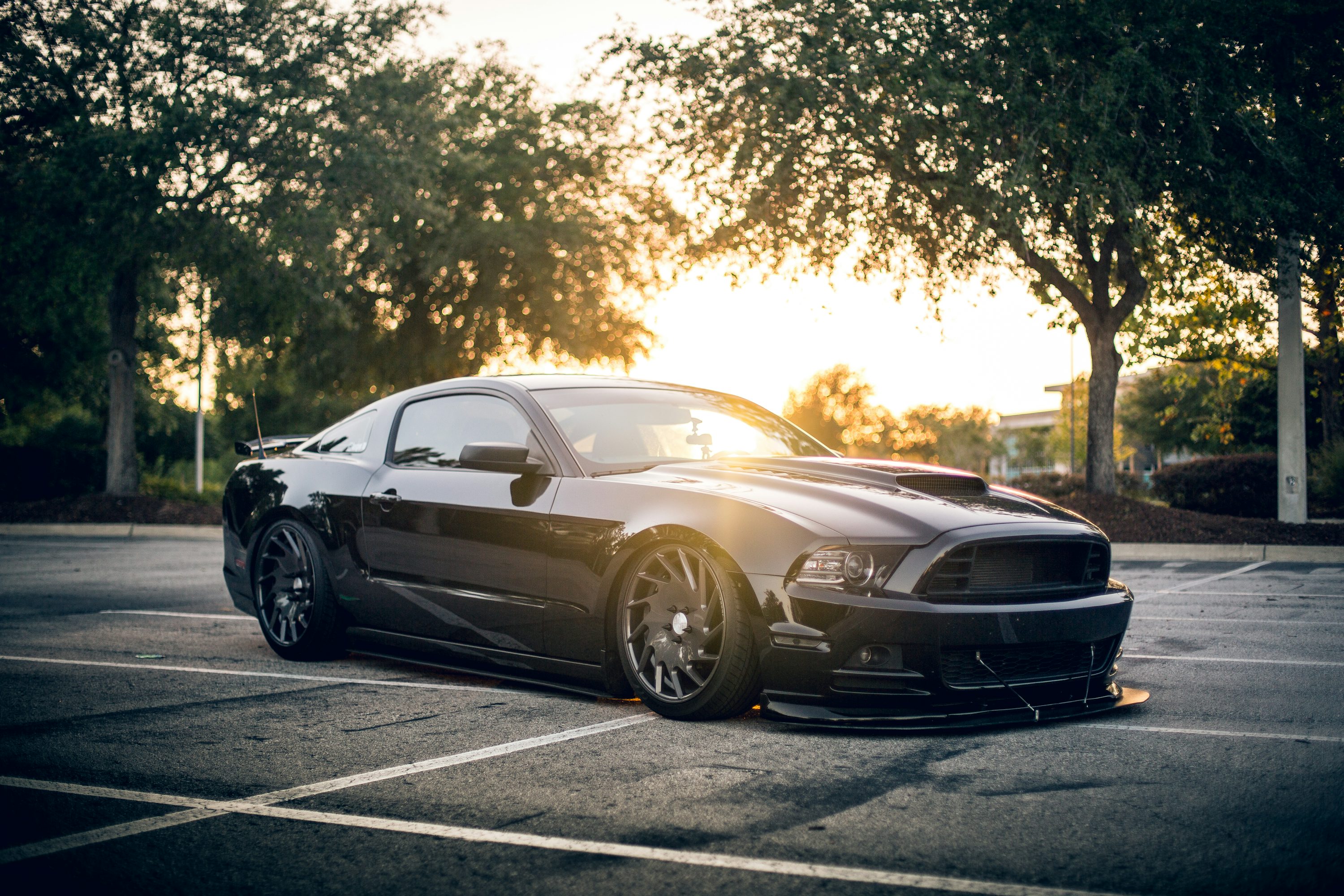 Black Ford Mustang GT photo