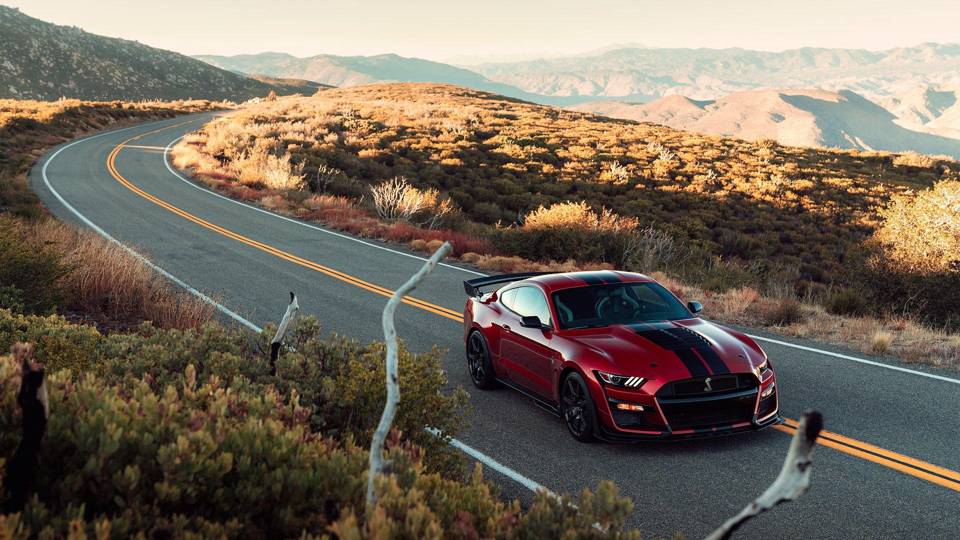 Ford Mustang Shelby GT500 HD Desktop Wallpaper 48442