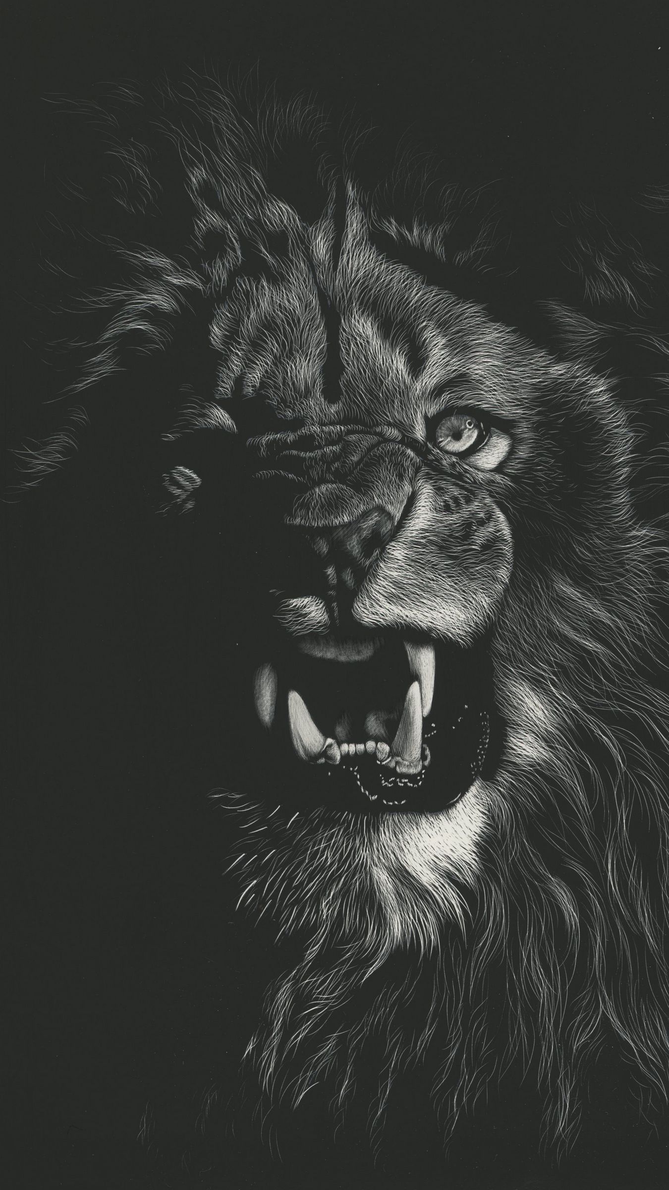 Download wallpaper 1350x2400 lion, grin, art, bw, drawing iphone 8+/7+/6s+/for parallax HD background