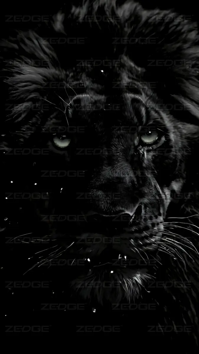 Majestic Black Lion With Green Eyes wallpaper by Qubix Black Arts