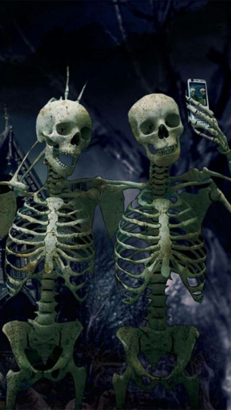 Funny skeletons taking a selfy