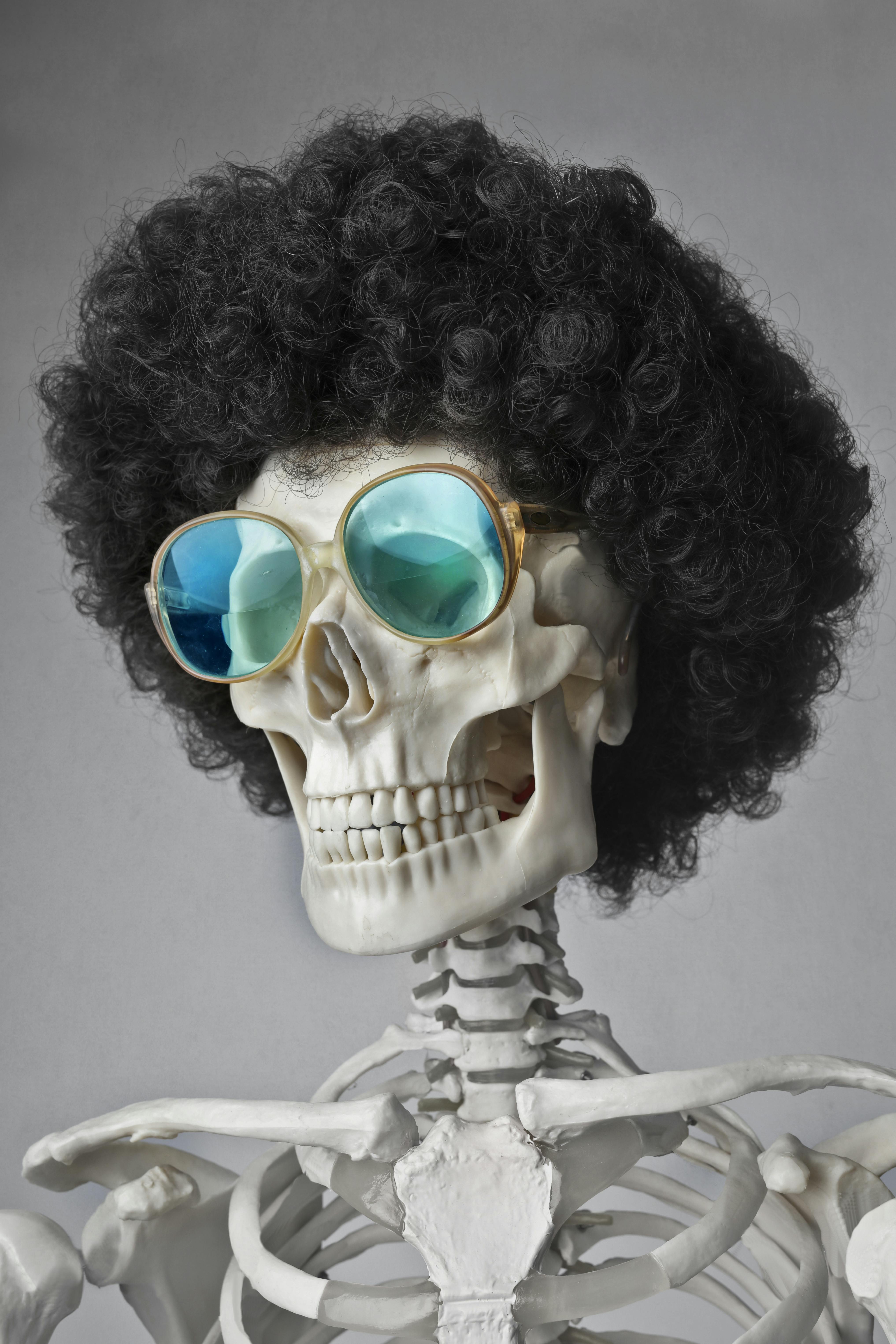 Portrait Photo of a Skeleton in Sunglasses and Wig · Free