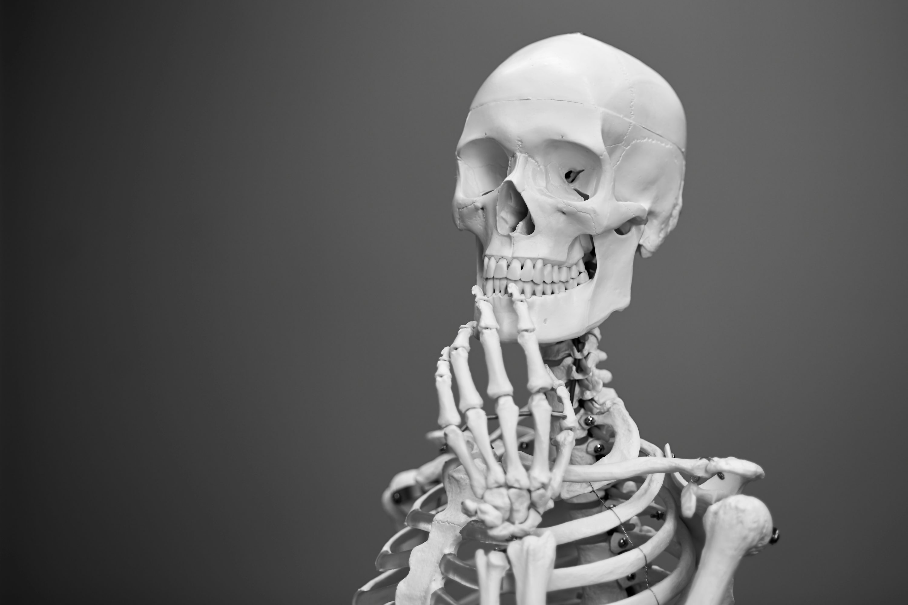 Skeleton Picture [HD]. Download Free Image